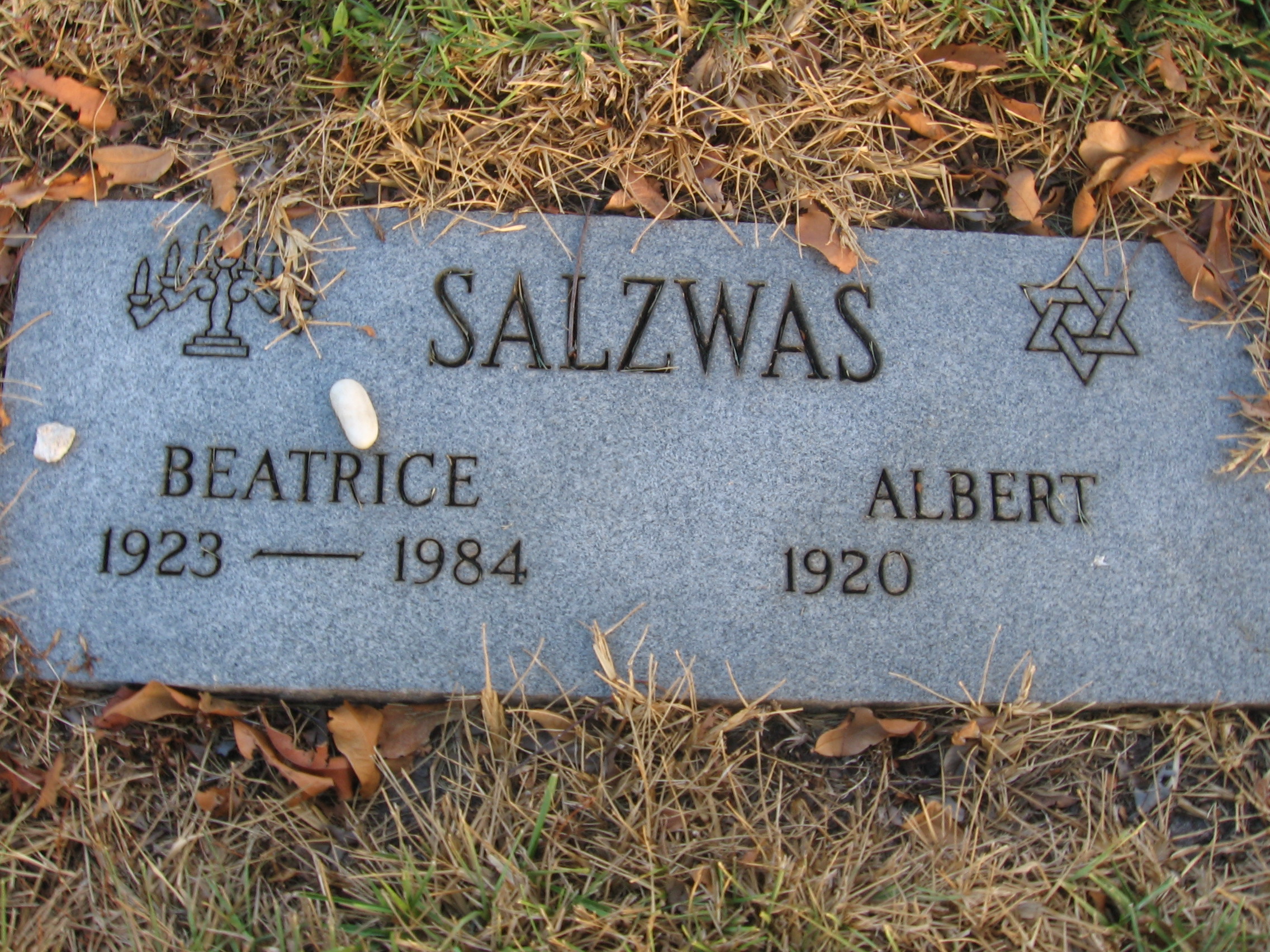 Beatrice Salzwas