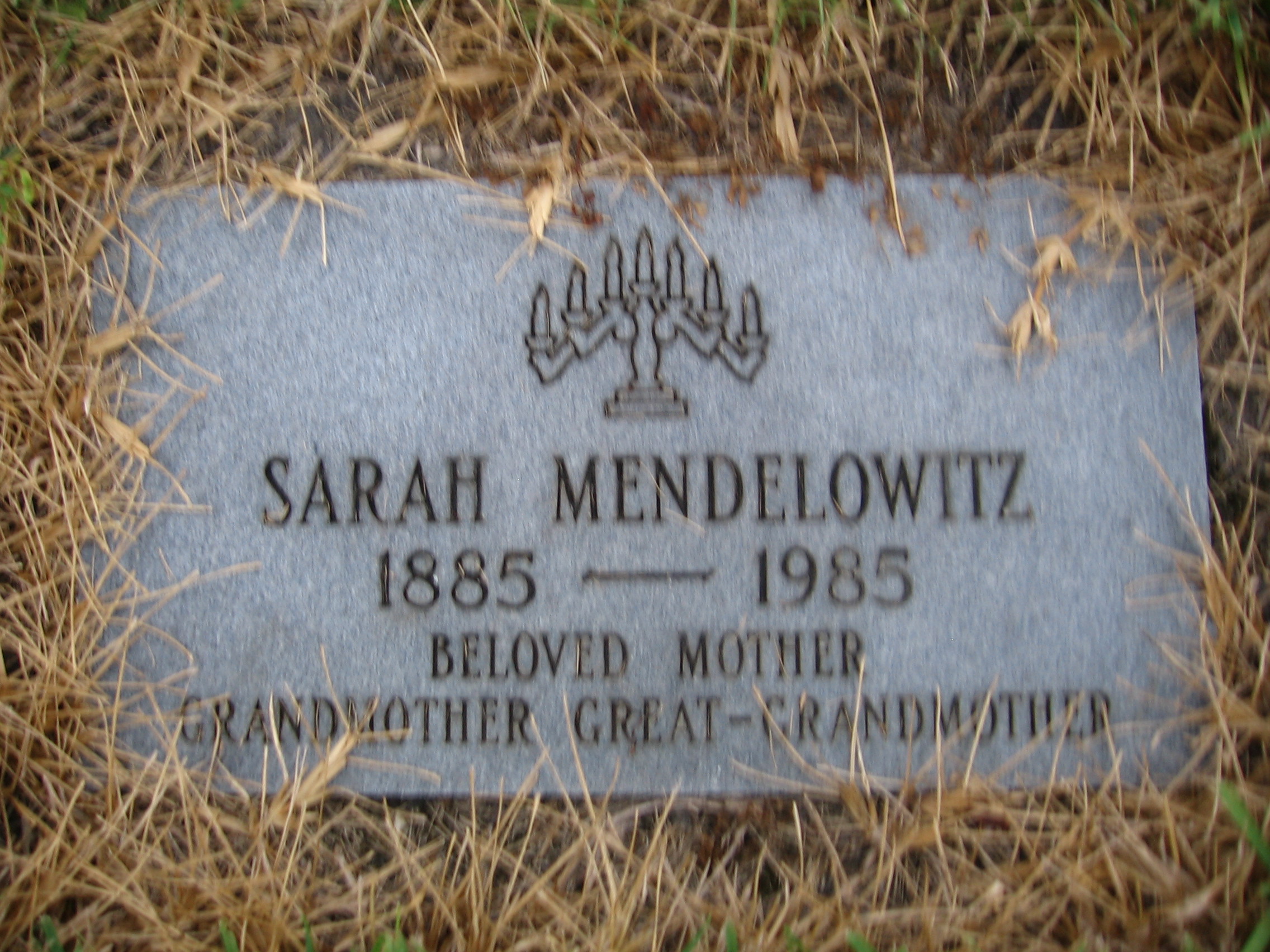 Sarah Mendelowitz