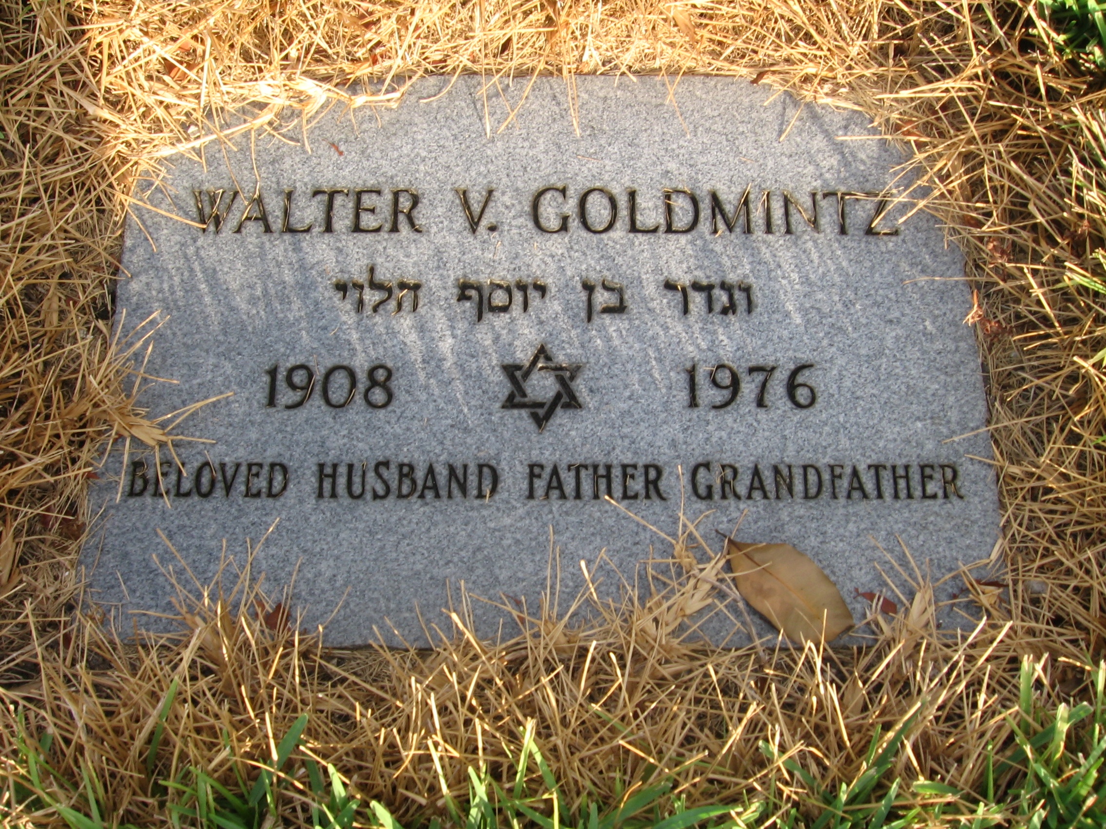 Walter V Goldmintz