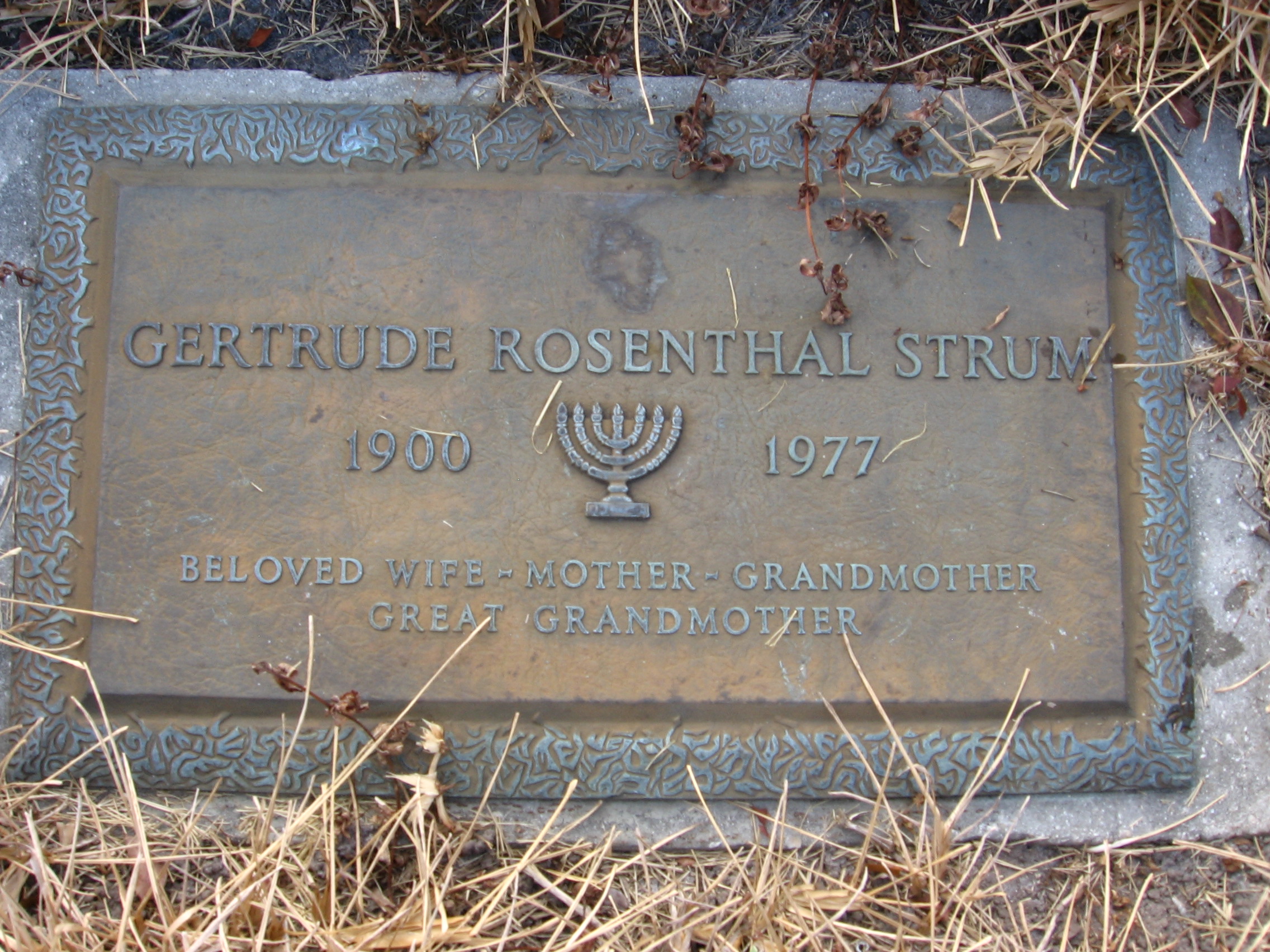 Gertrude Rosenthal Strum