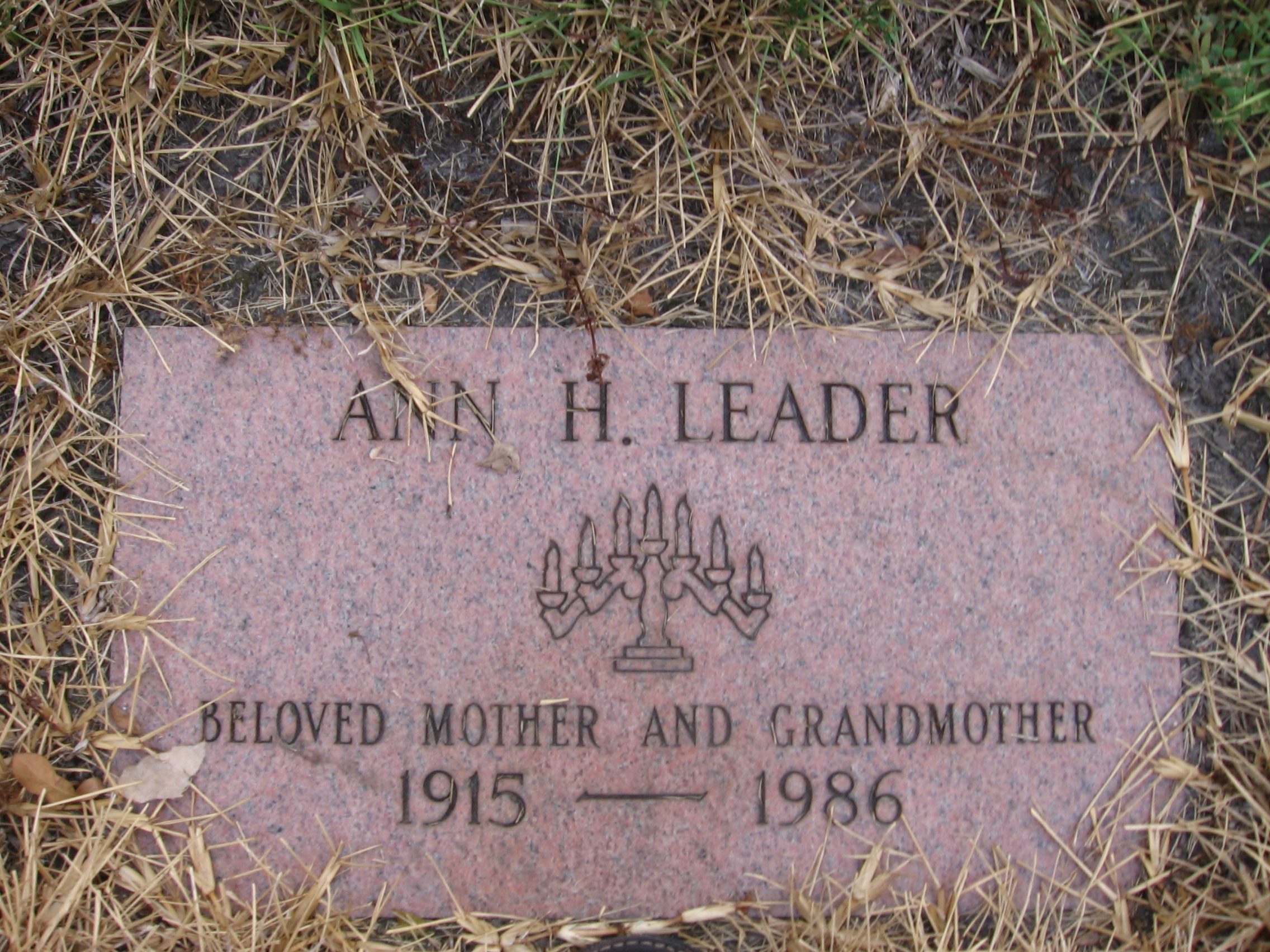 Ann H Leader