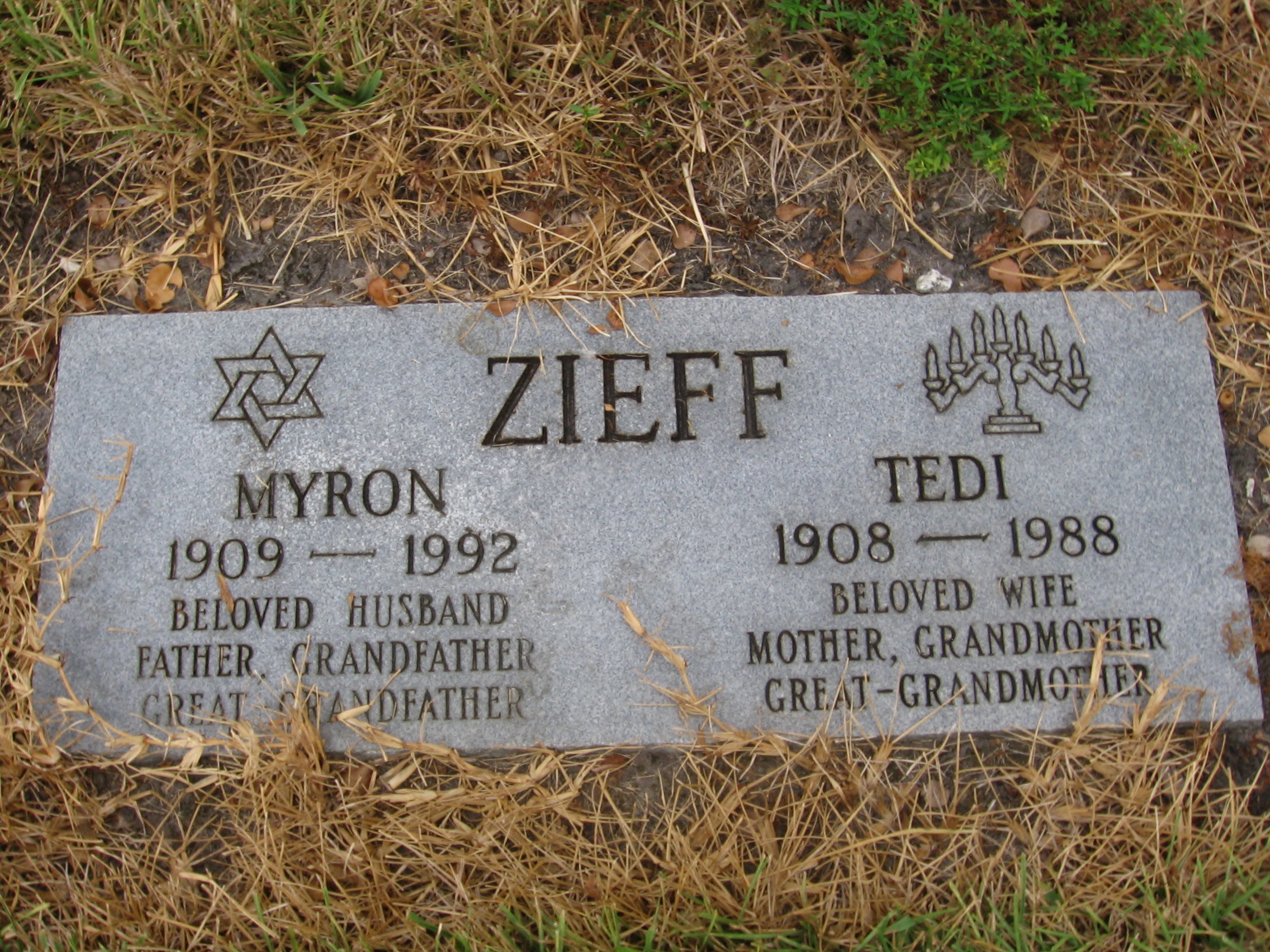 Myron Zieff