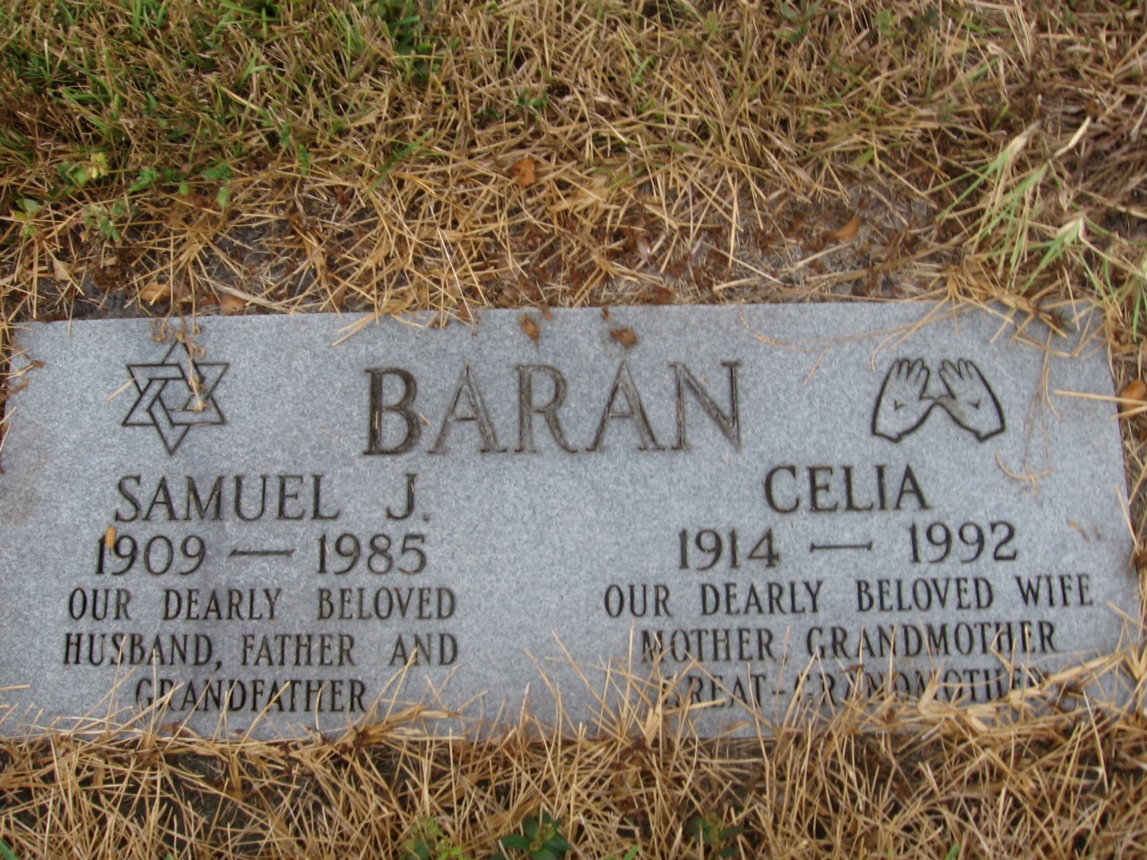 Samuel J Baran