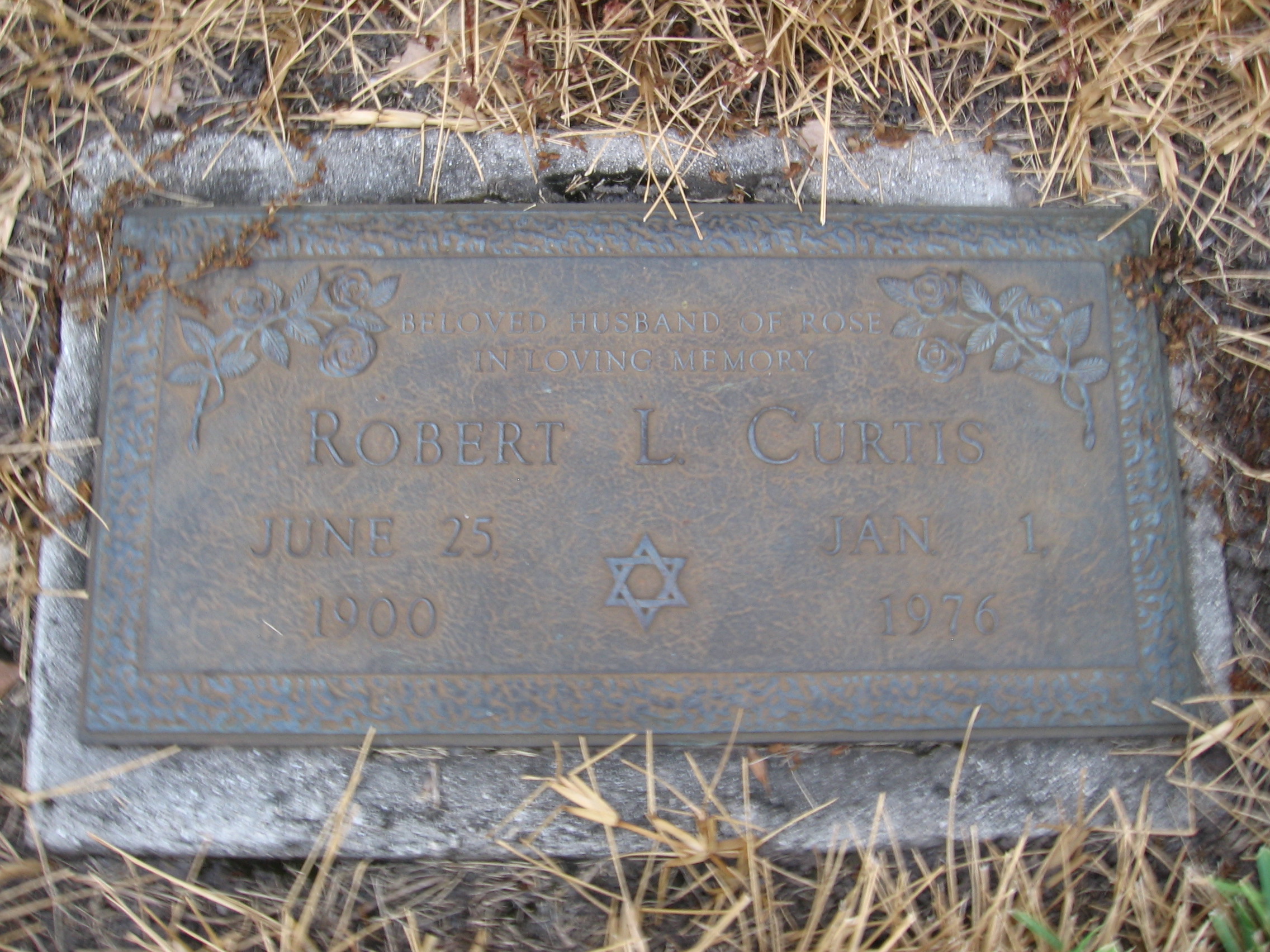 Robert L Curtis