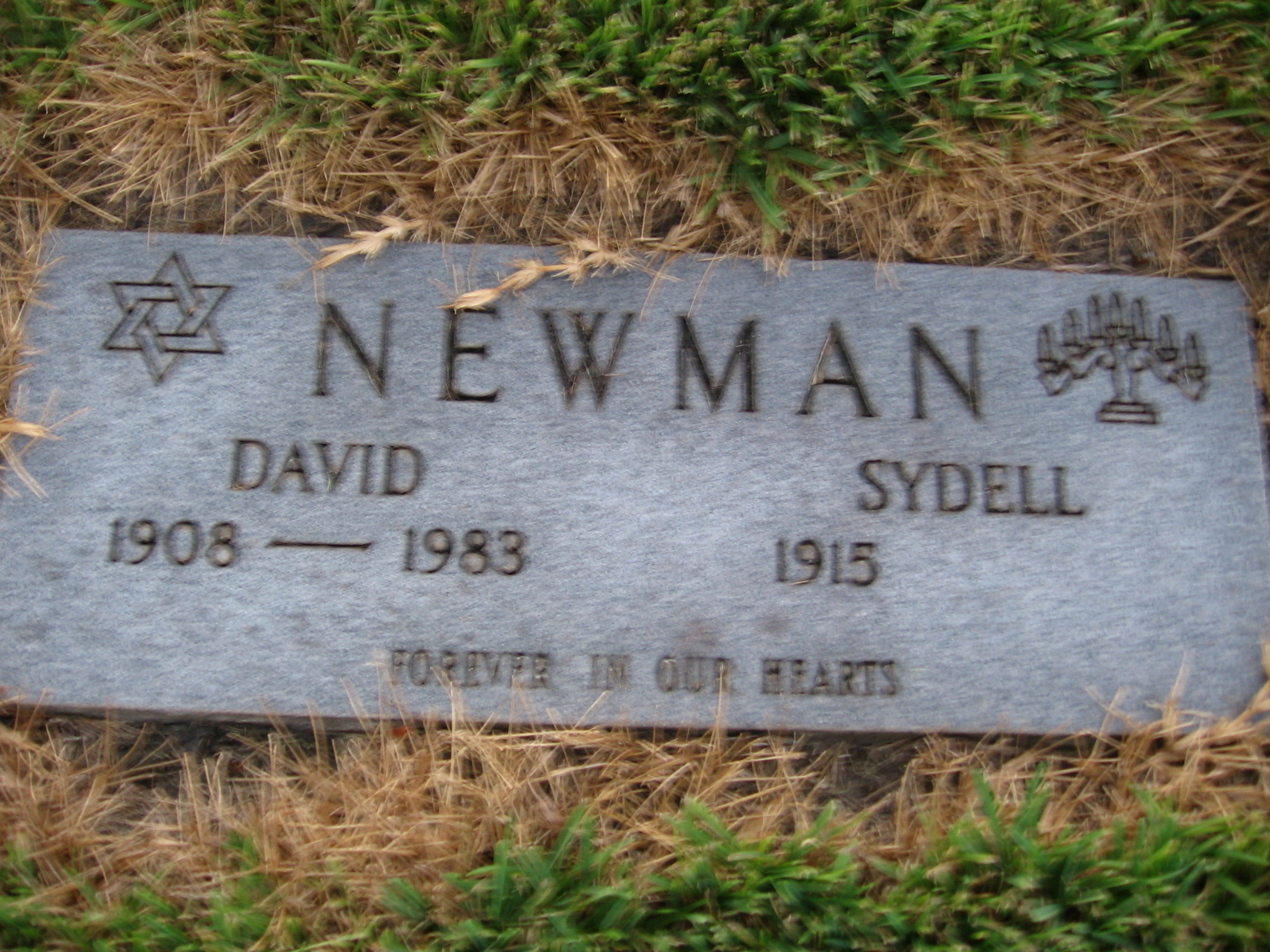 Sydell Newman
