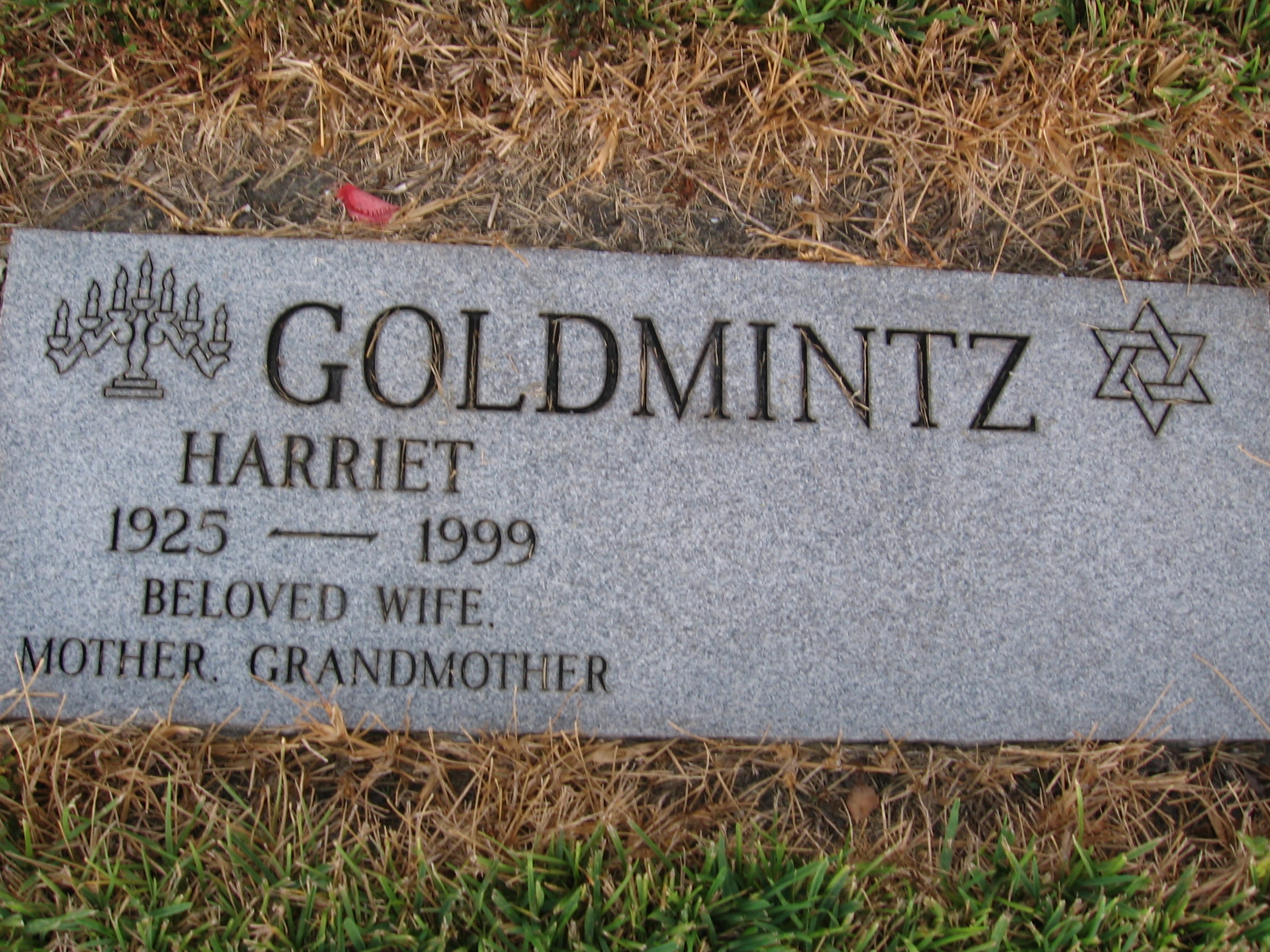 Harriet Goldmintz