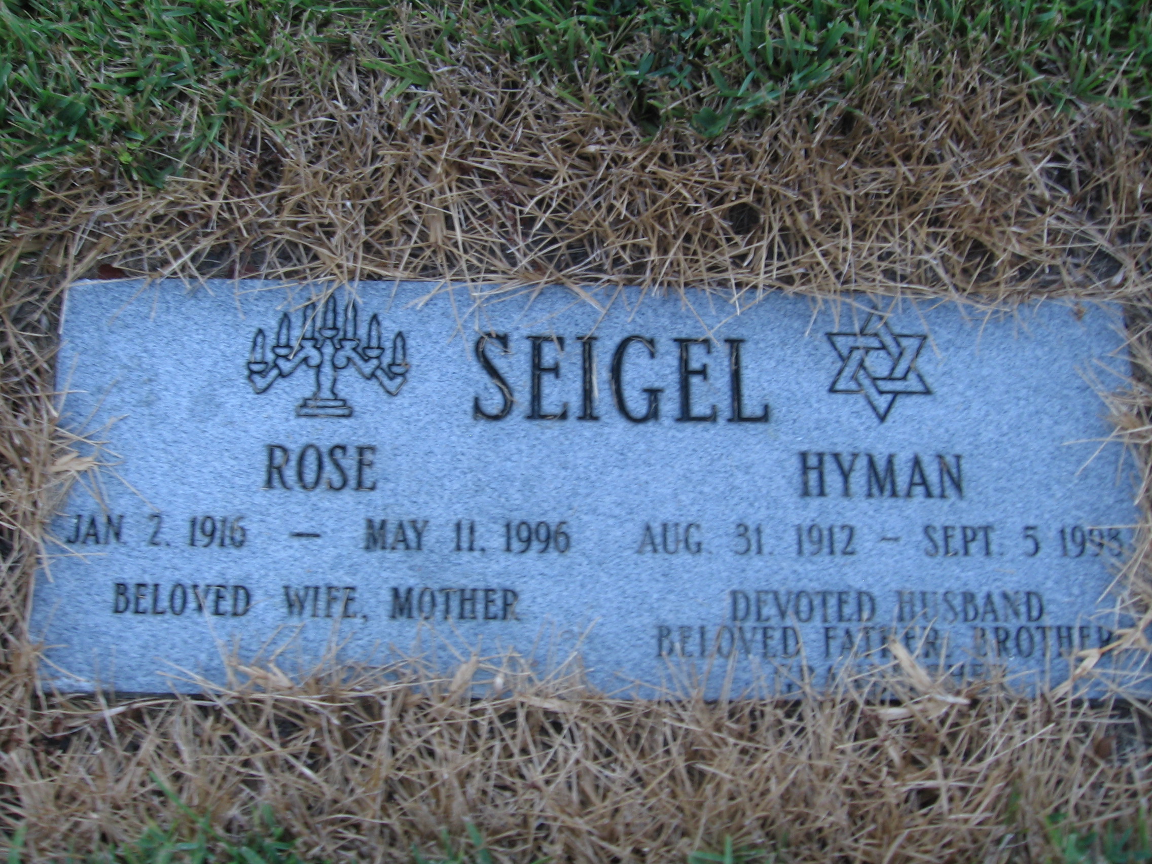Rose Seigel