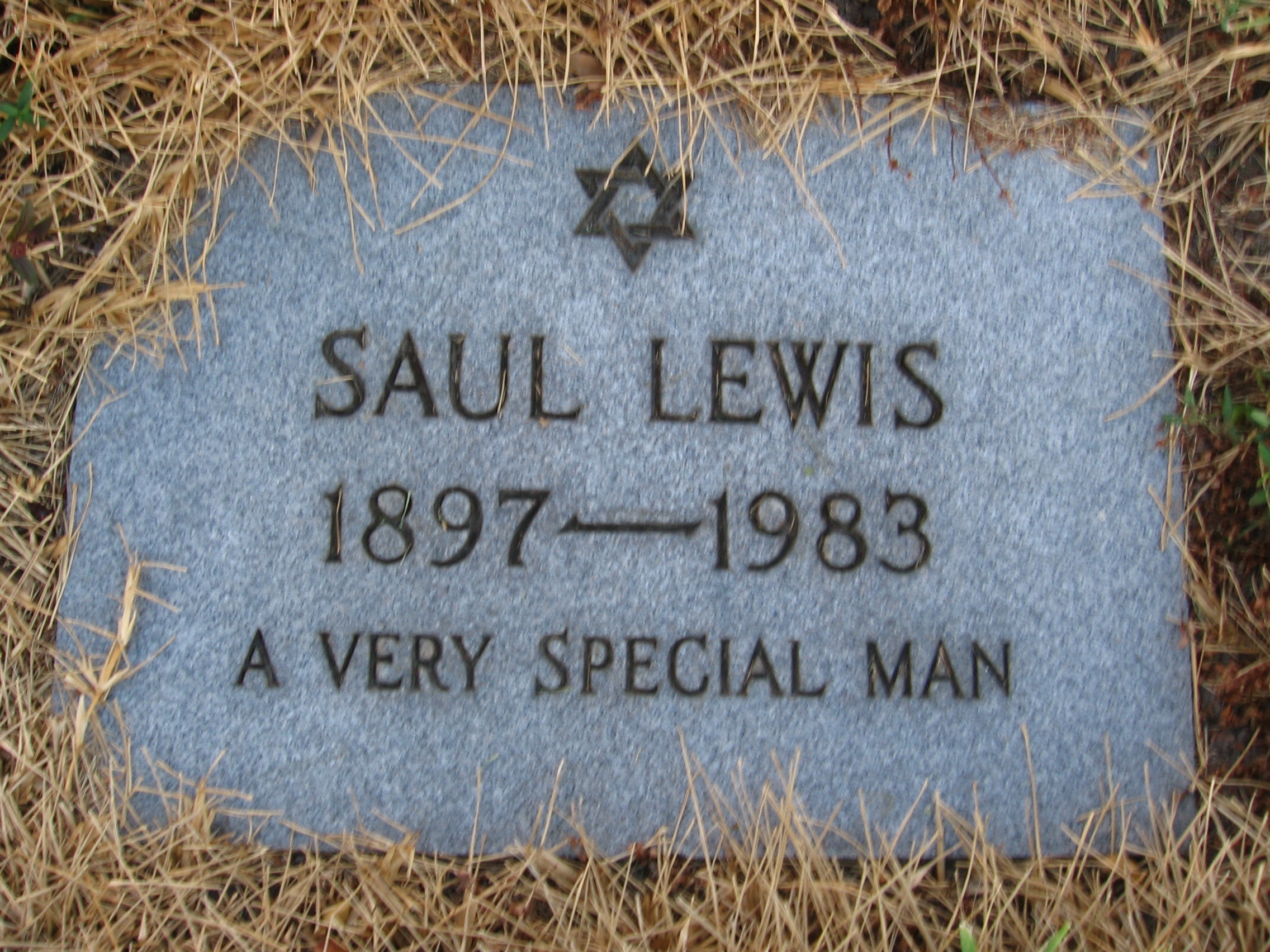 Saul Lewis