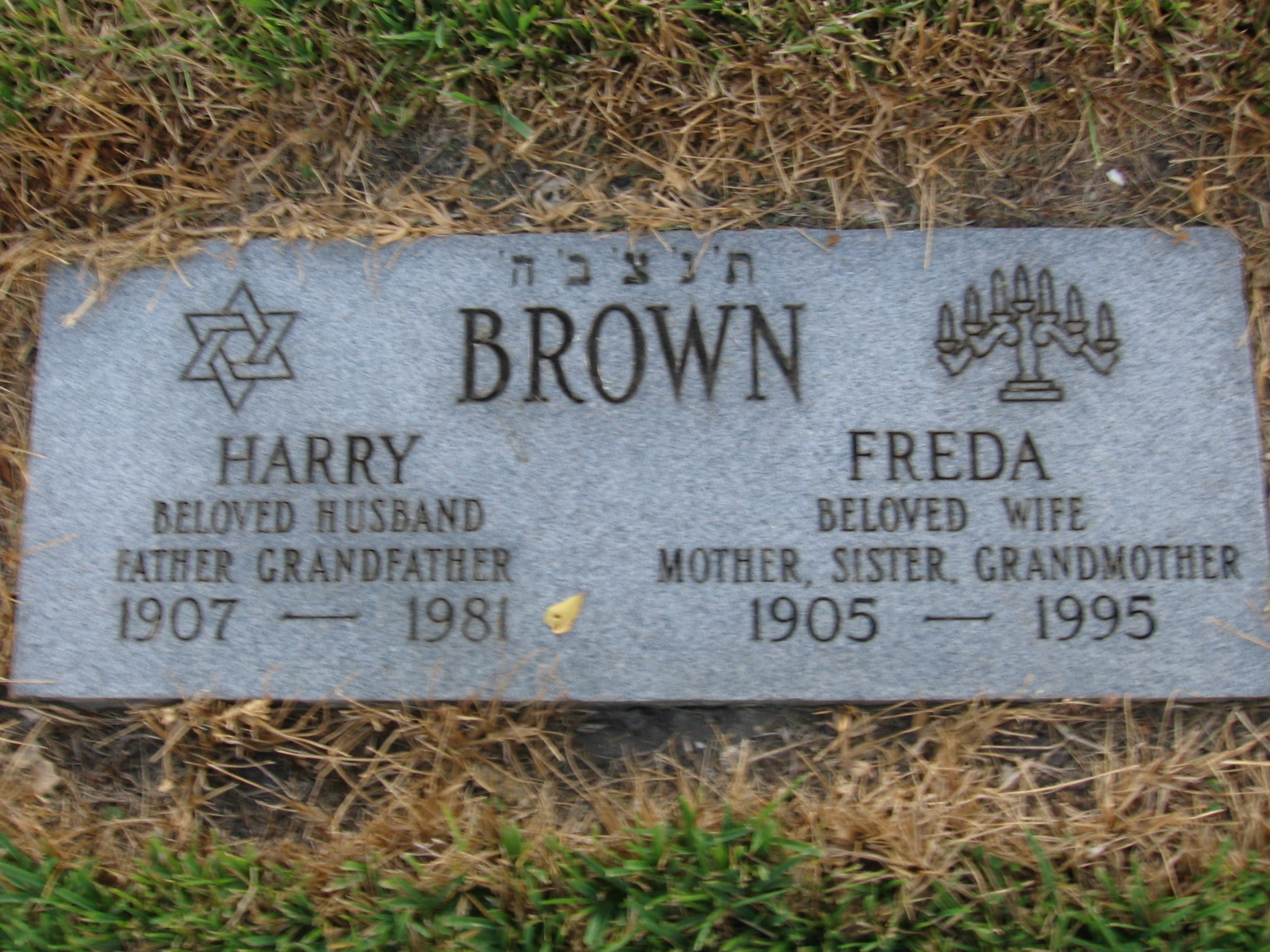Freda Brown