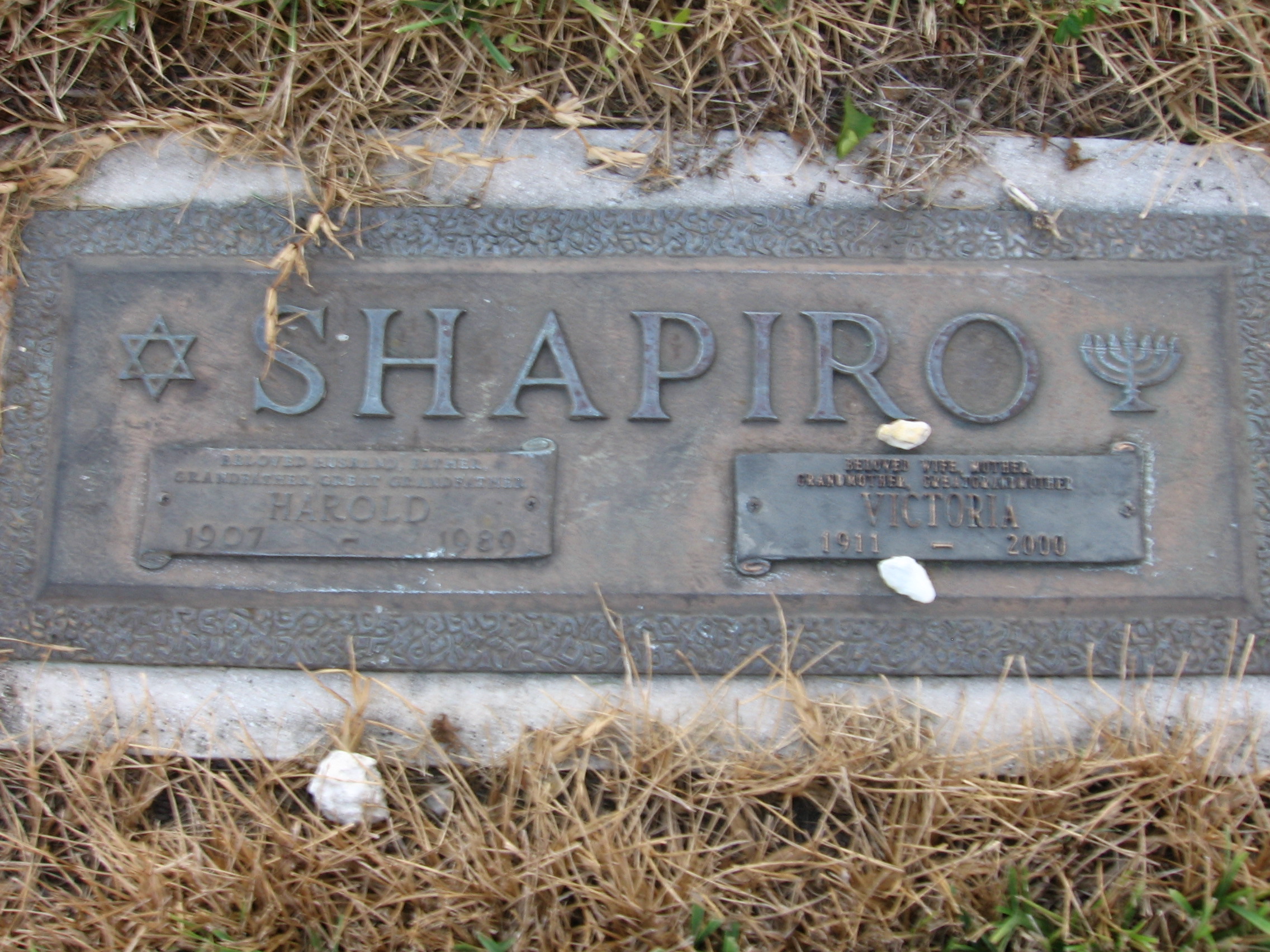 Harold Shapiro