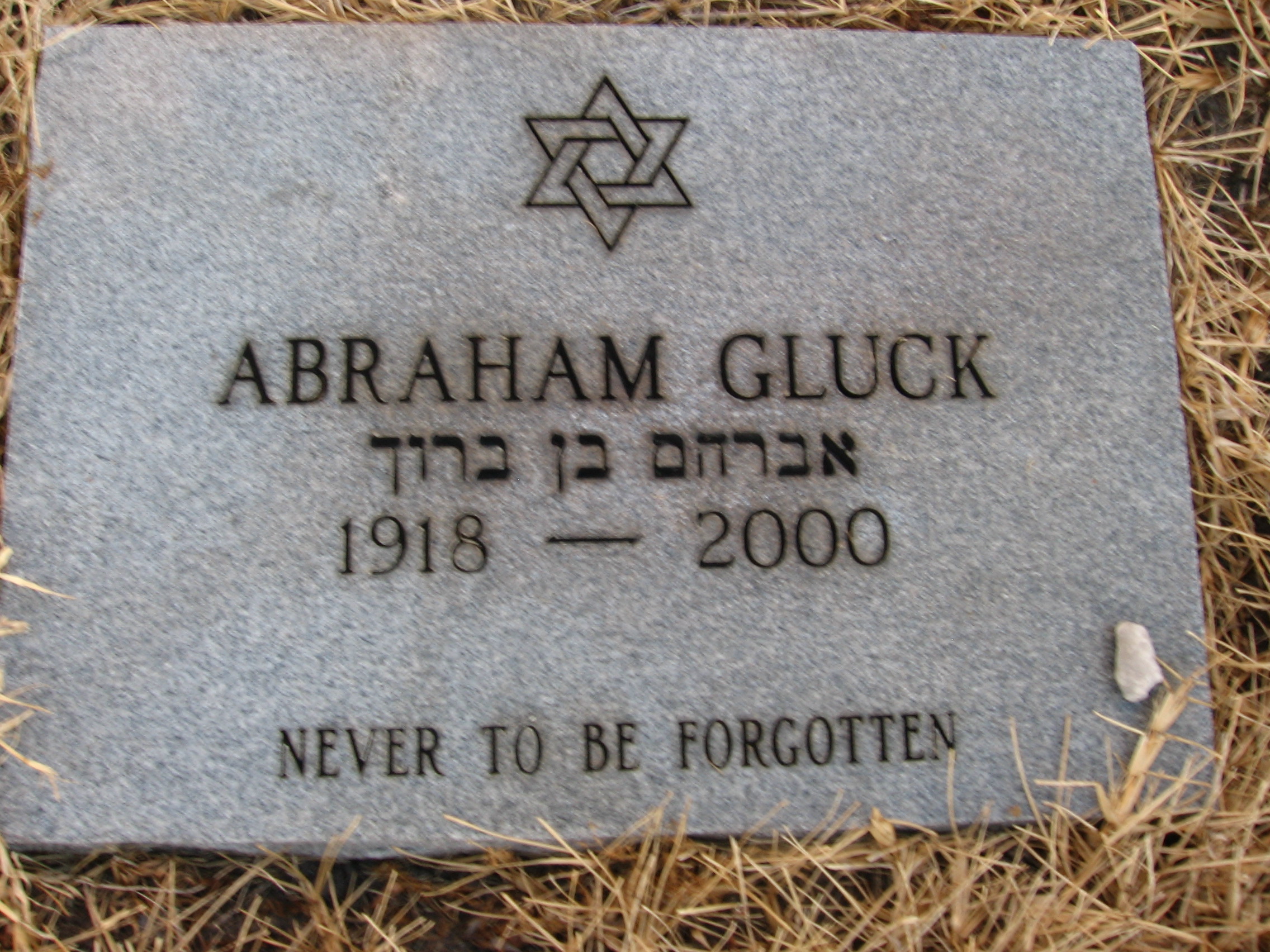 Abraham Gluck