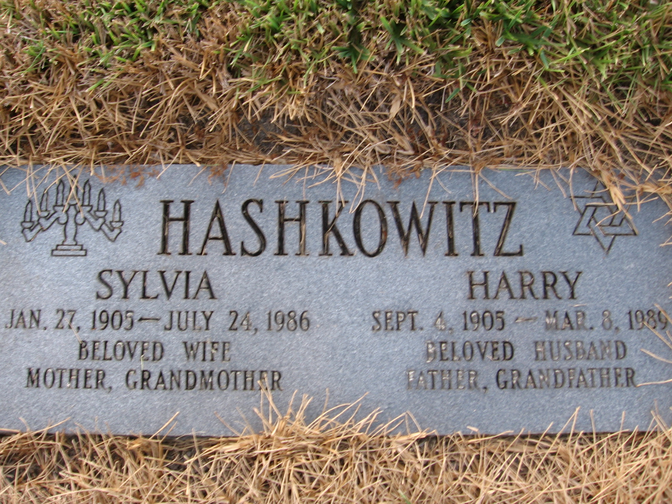 Harry Hashkowitz