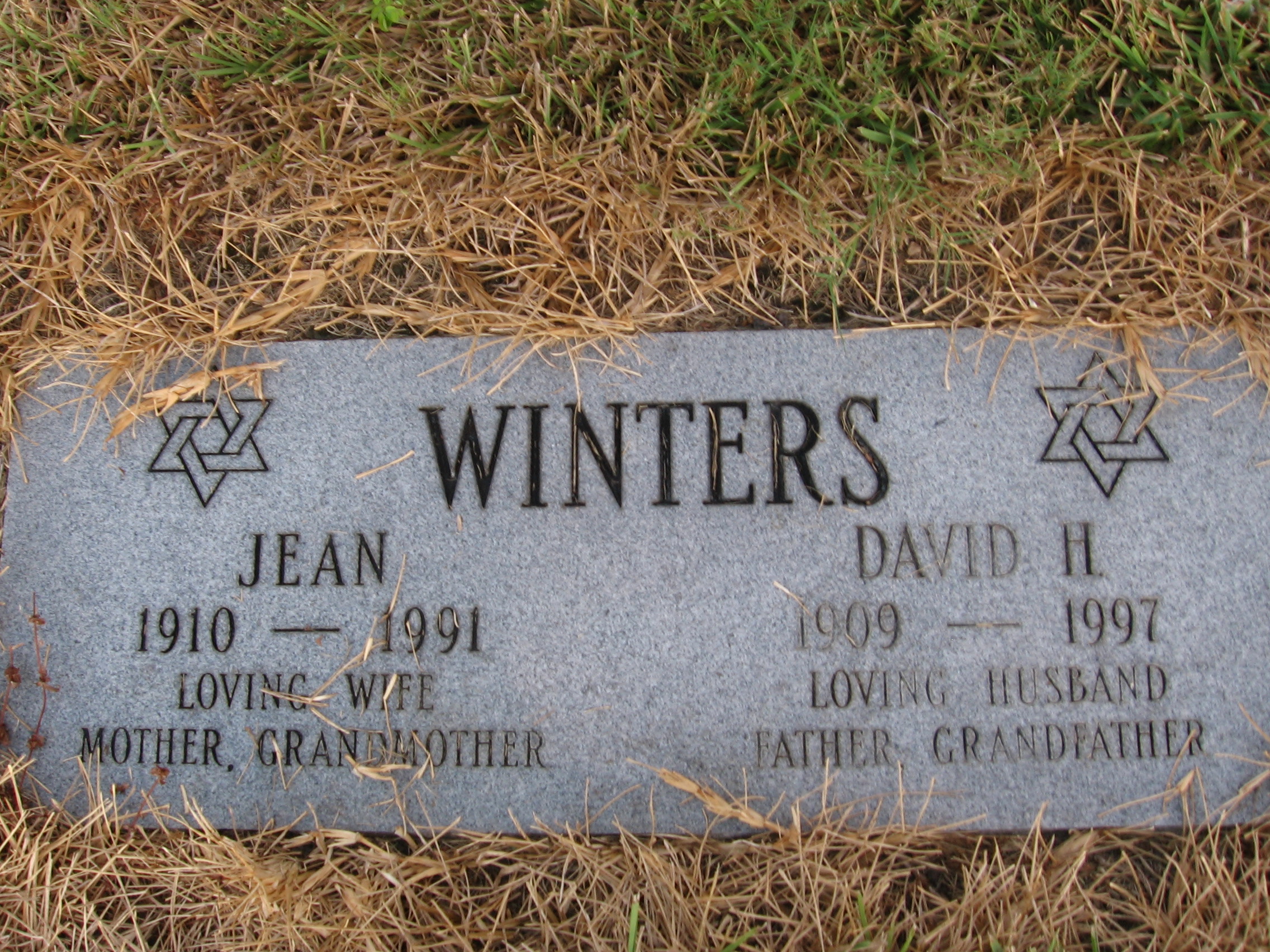 David H Winters