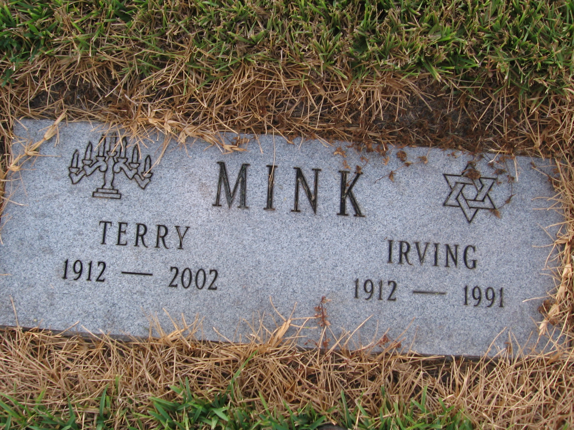 Terry Mink