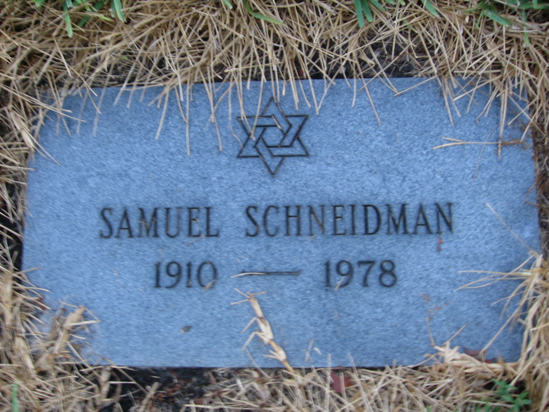 Samuel Schneidman