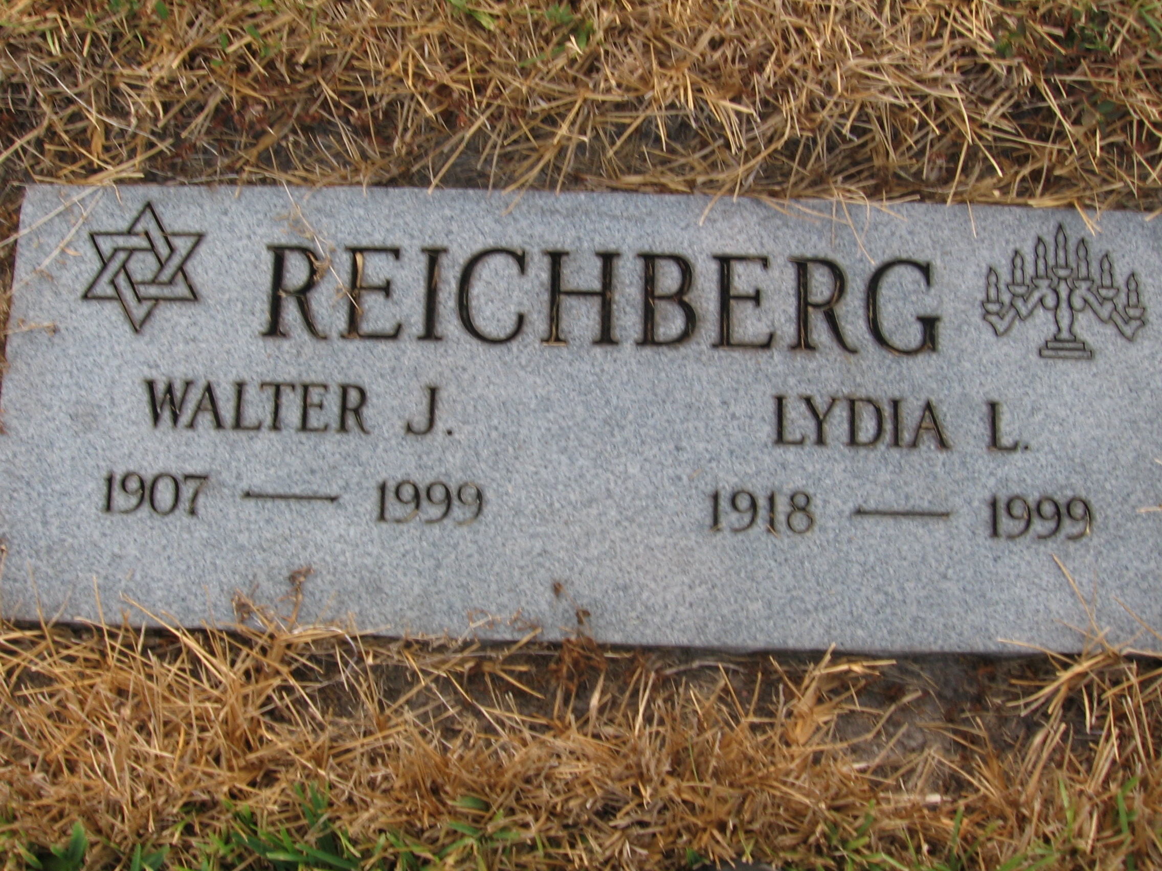 Walter J Reichberg
