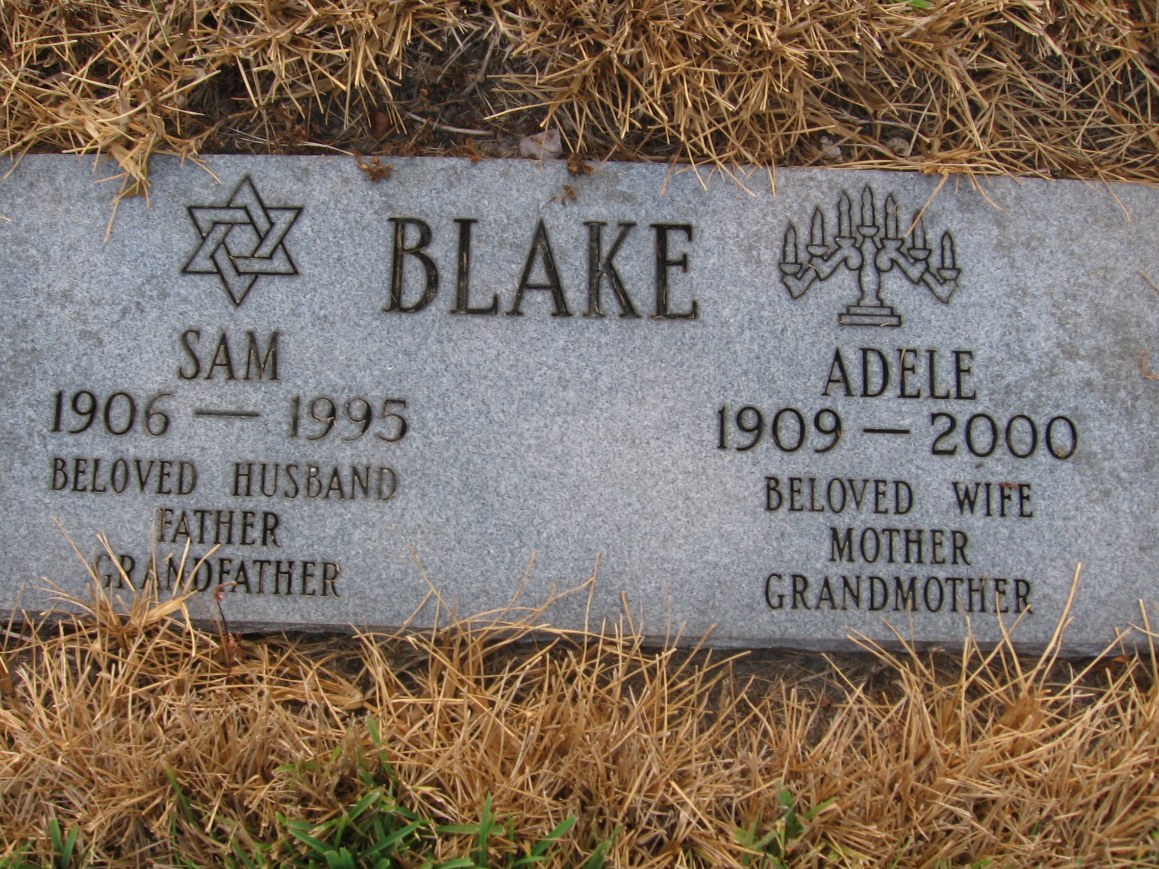Adele Blake