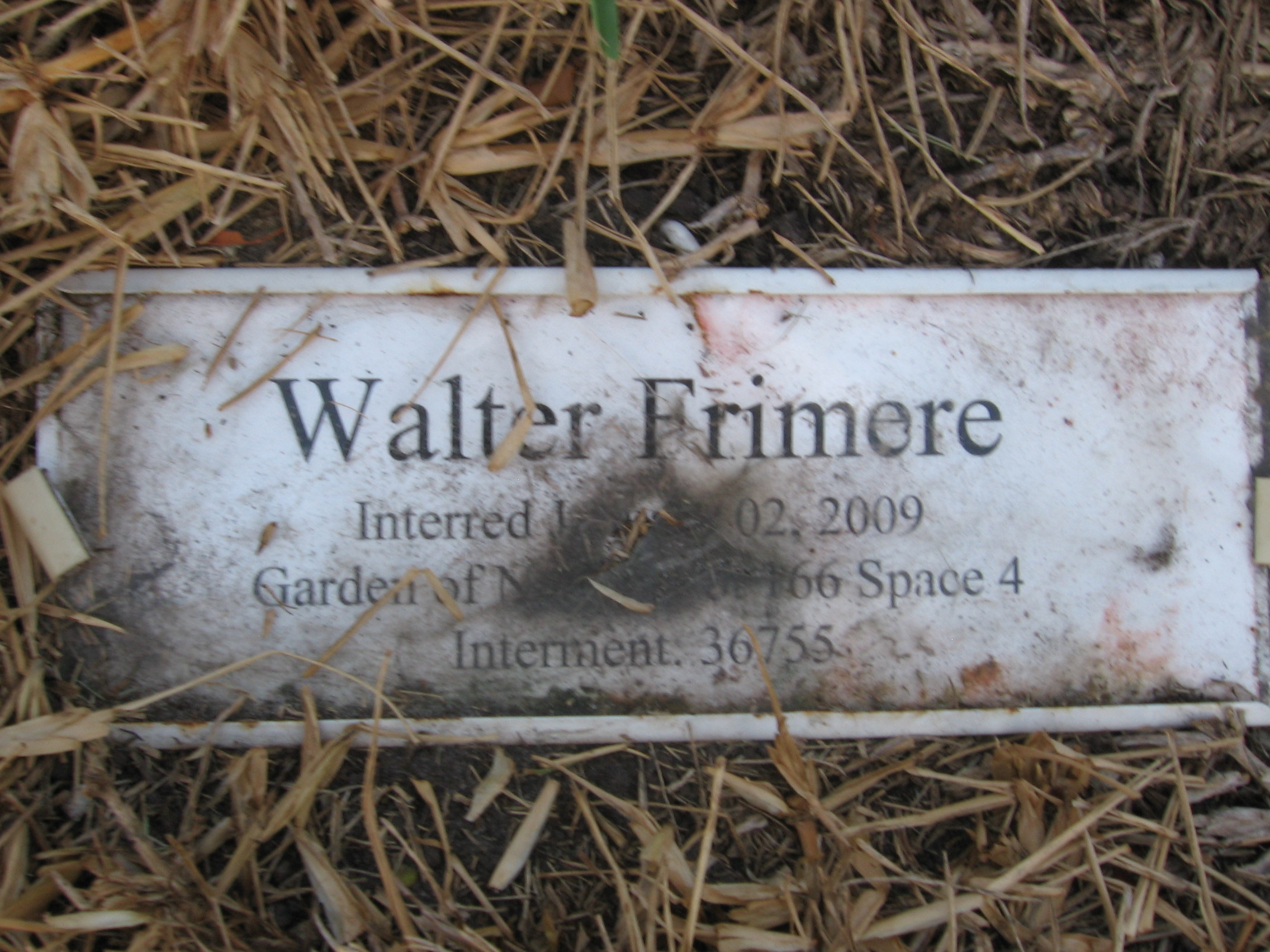Walter Frimere