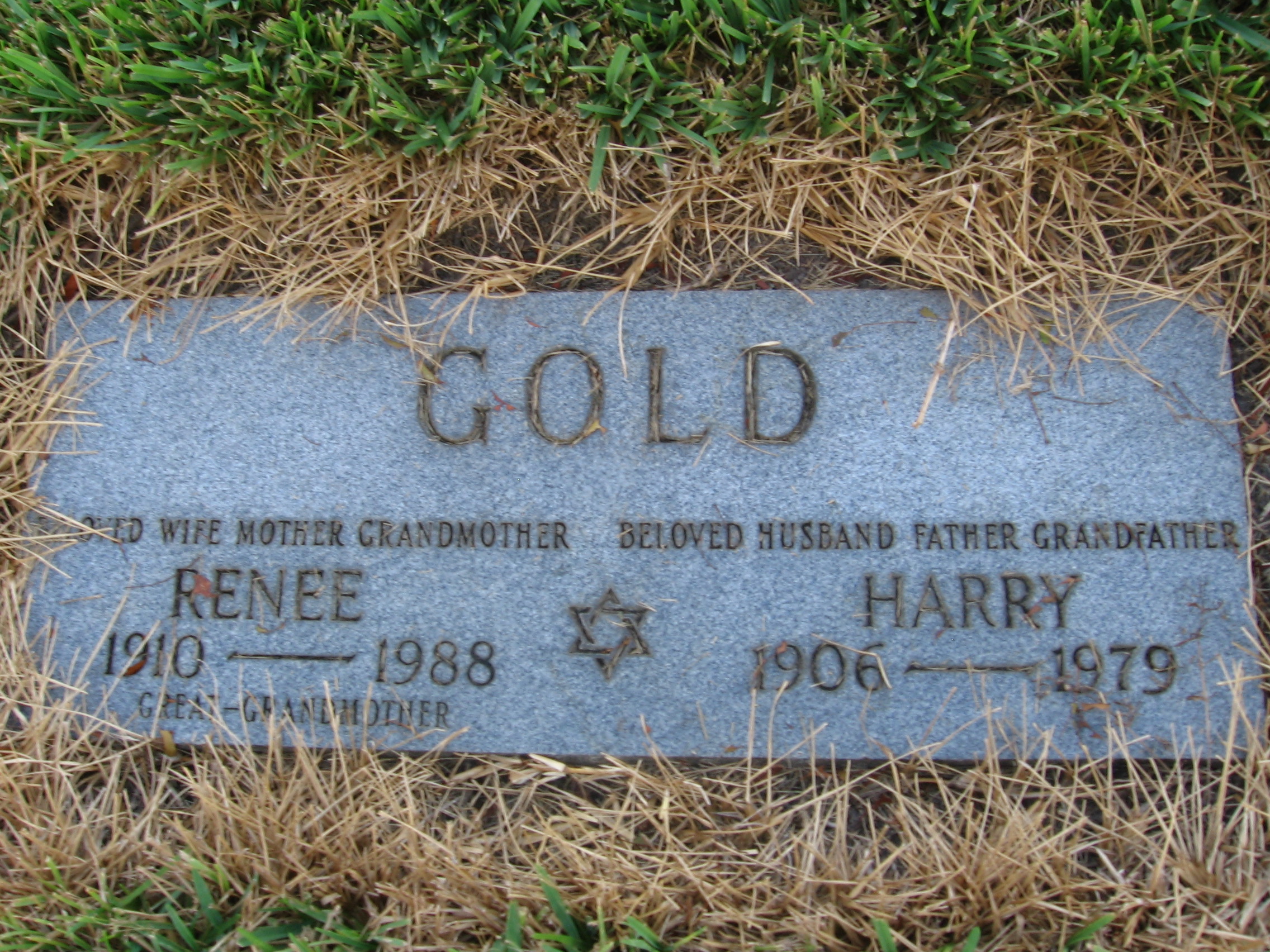Renee Gold