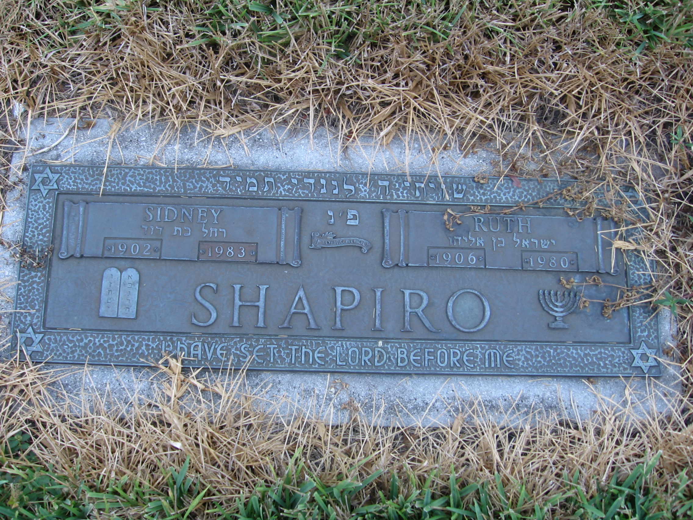 Sidney Shapiro