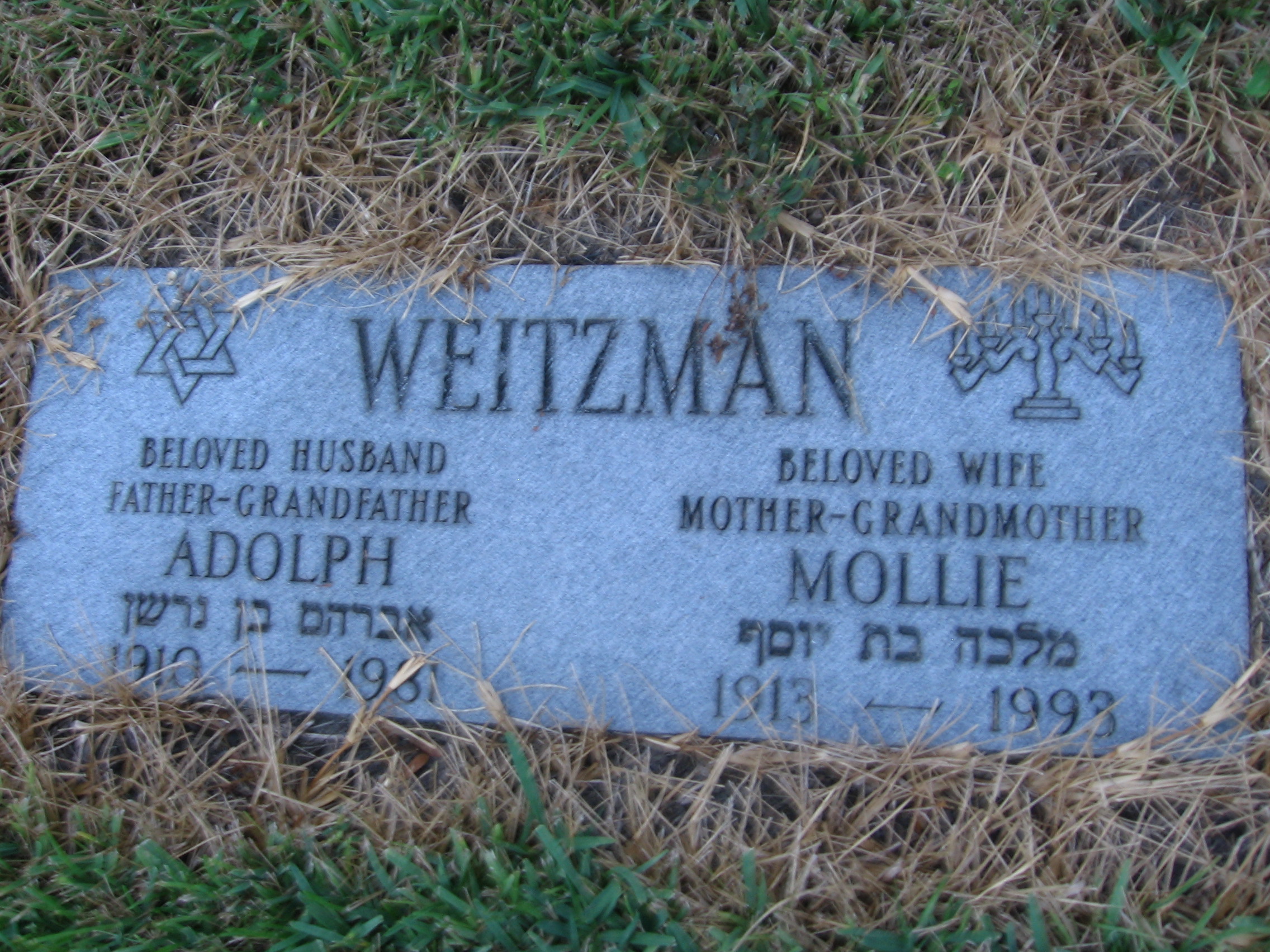 Mollie Weitzman