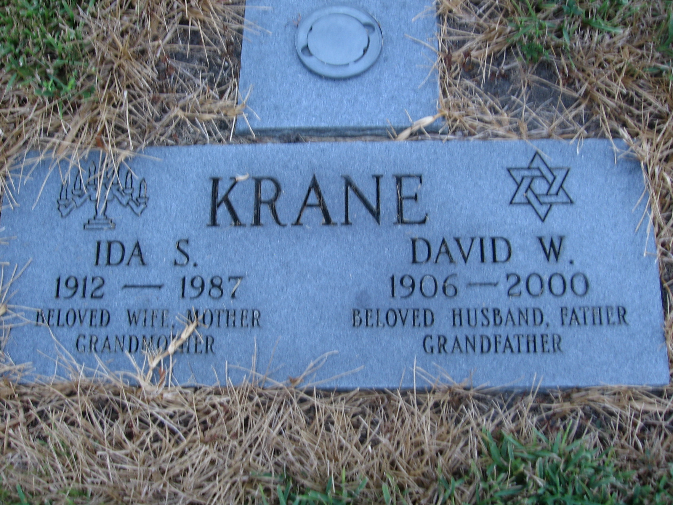 David W Krane