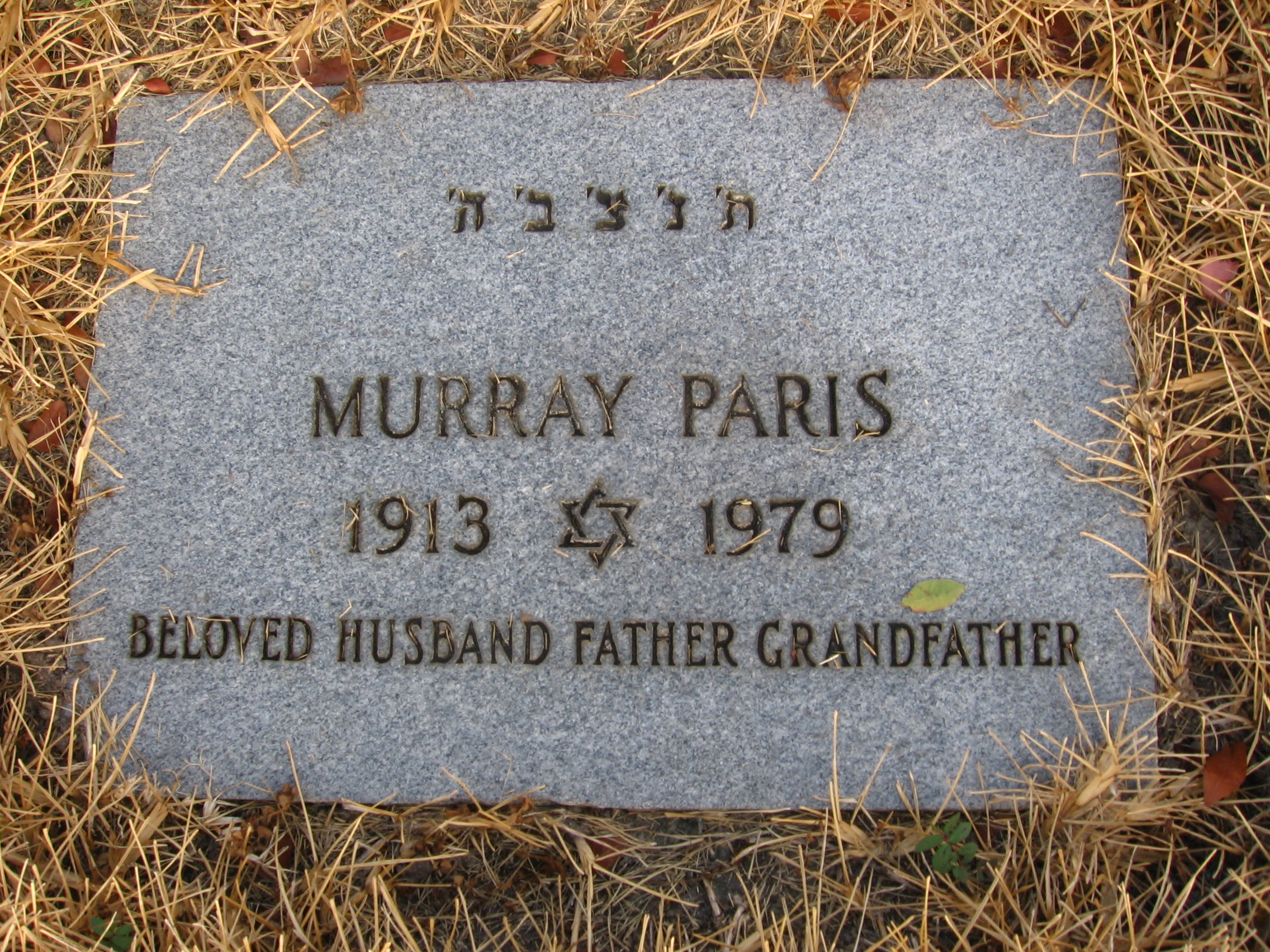 Murray Paris