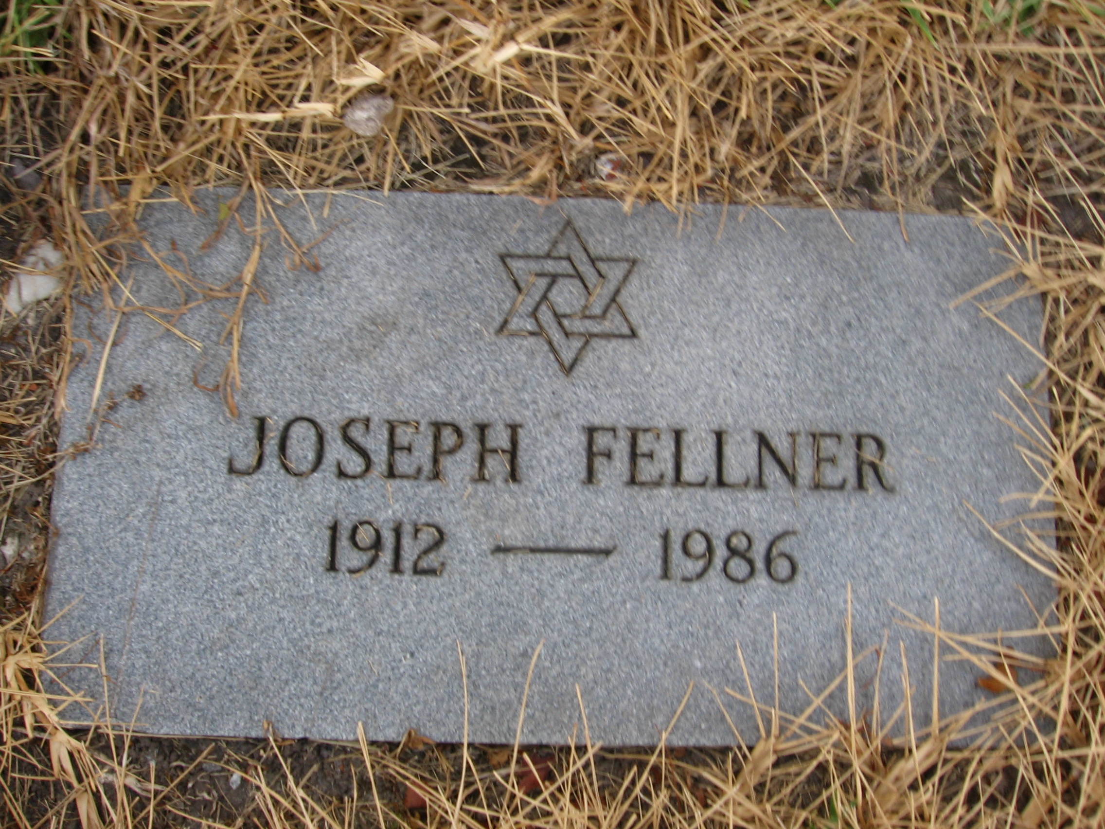 Joseph Fellner