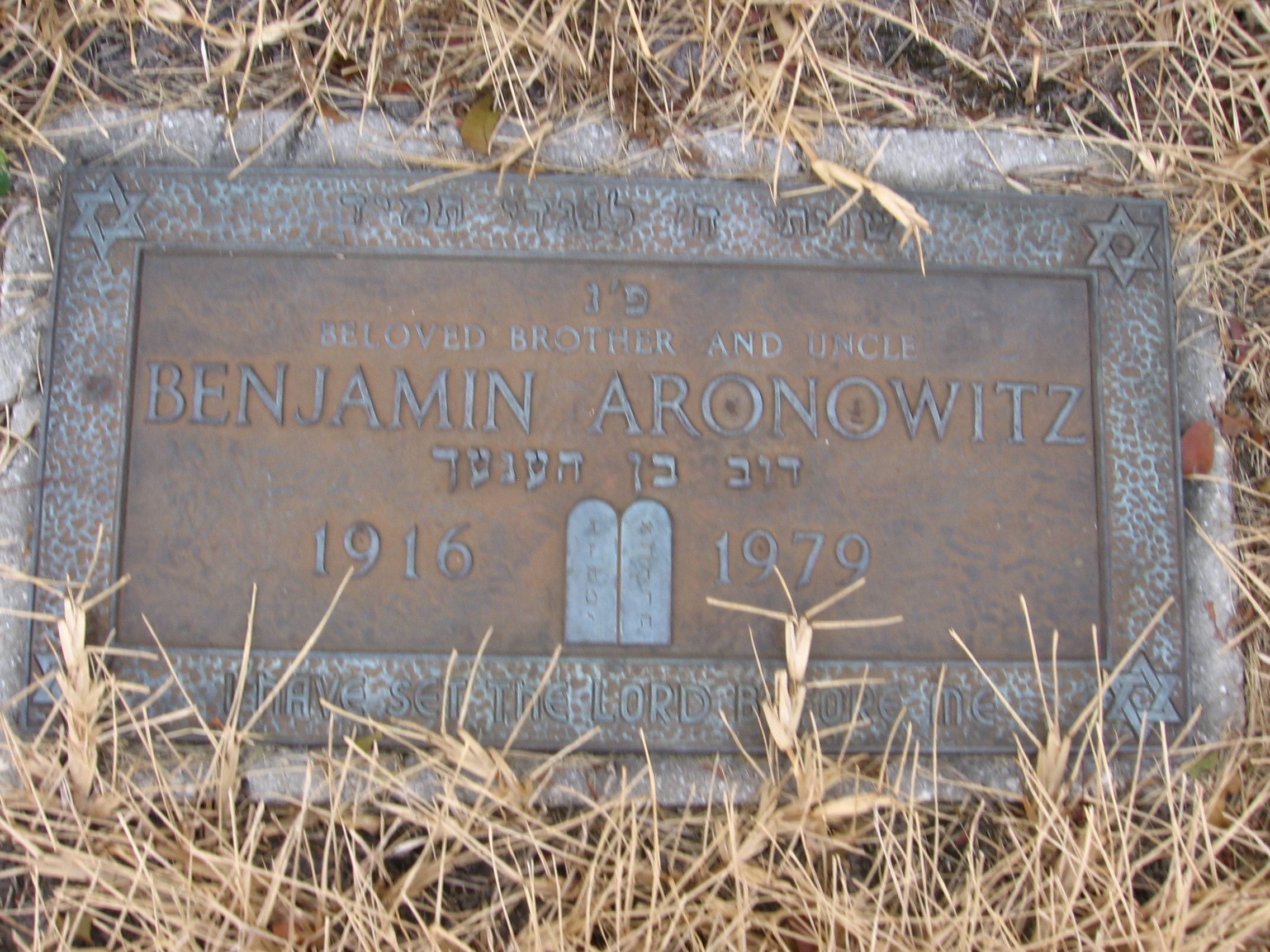 Benjamin Aronowitz