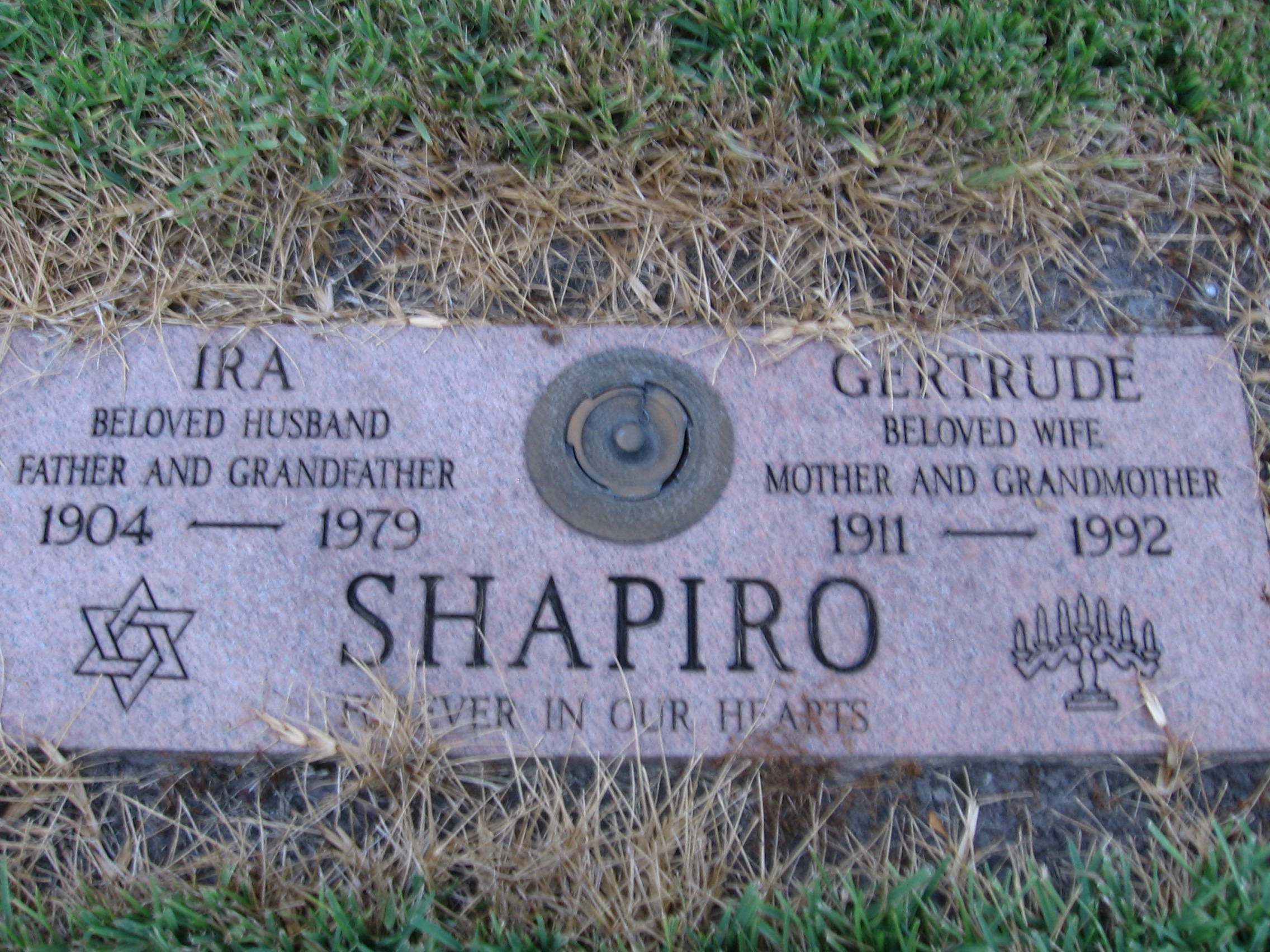 Ira Shapiro