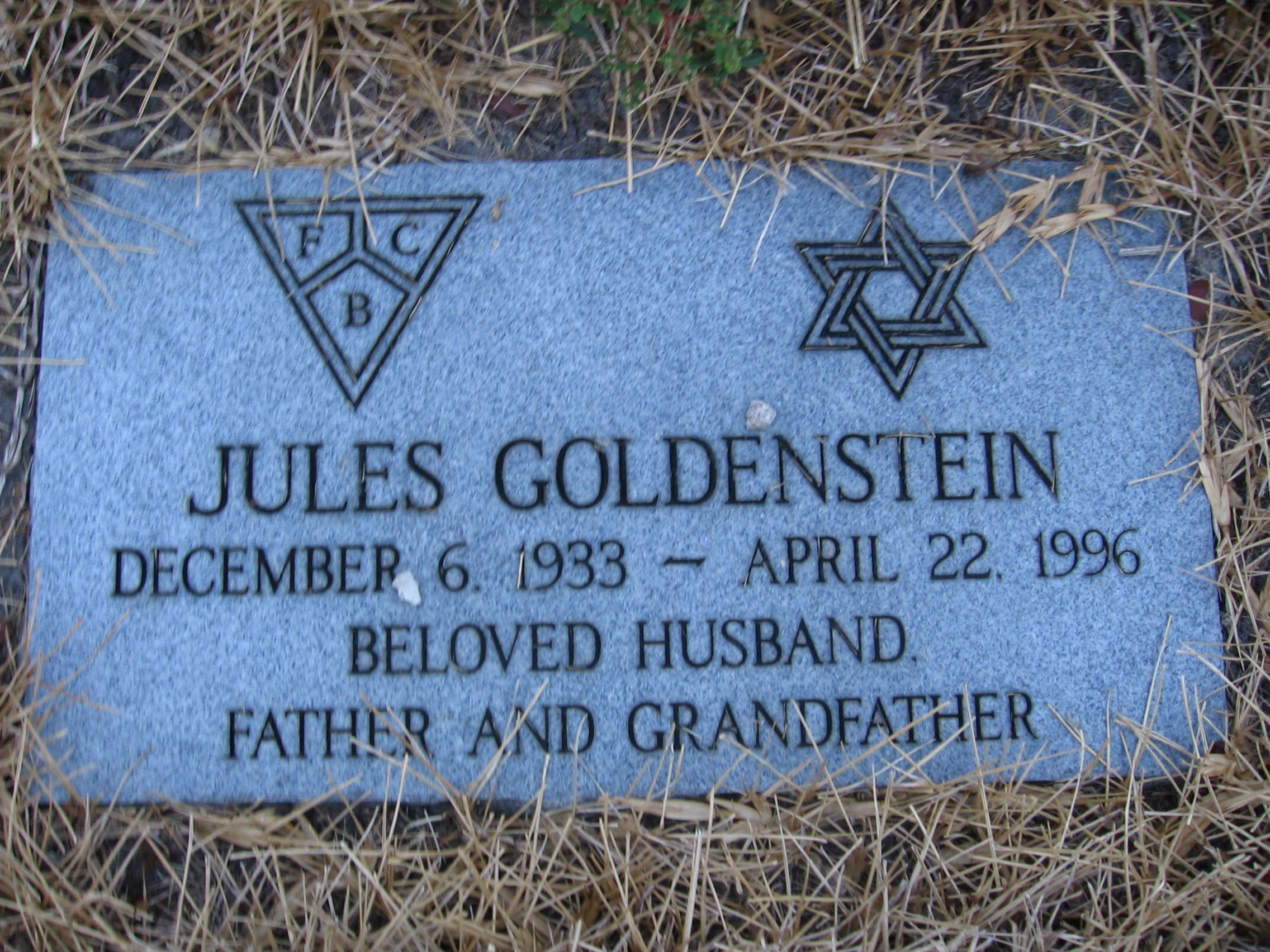 Jules Goldenstein