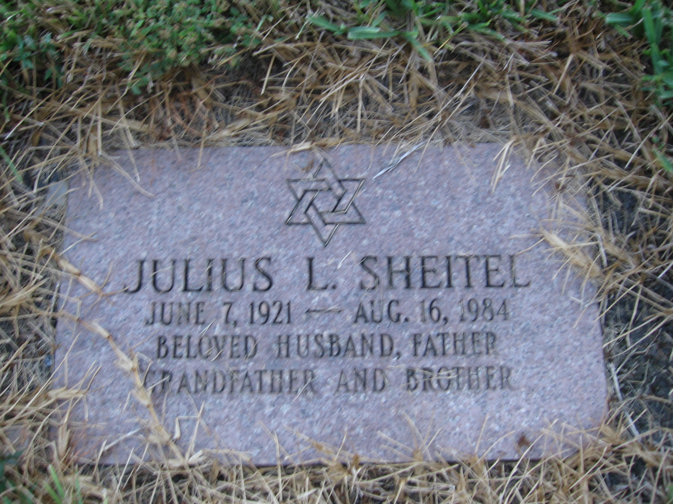 Julius L Sheitel