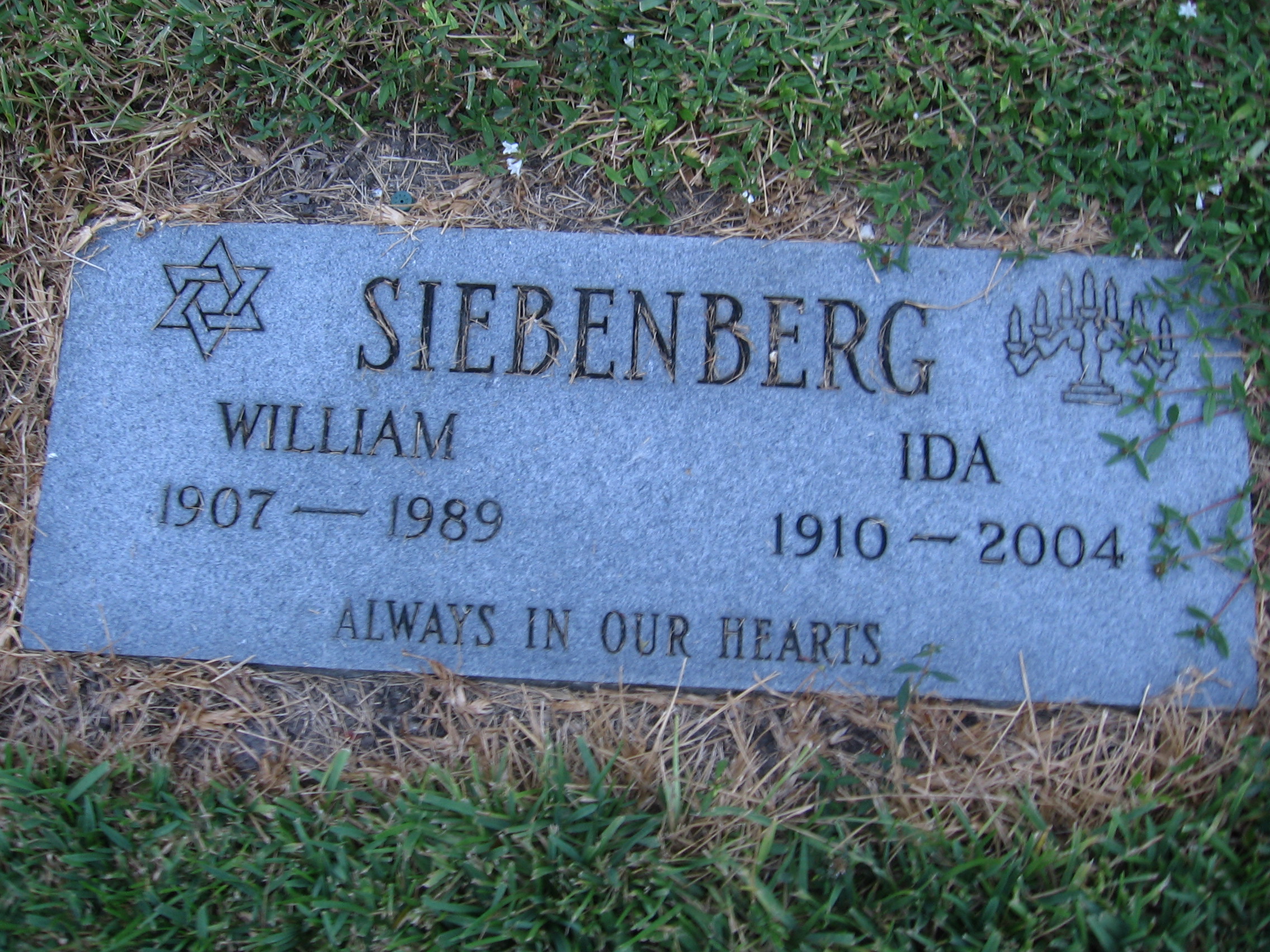Ida Siebenberg