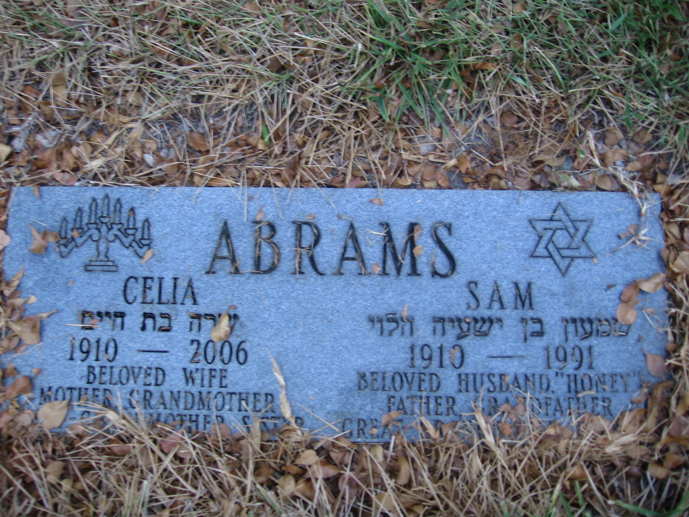 Sam Abrams