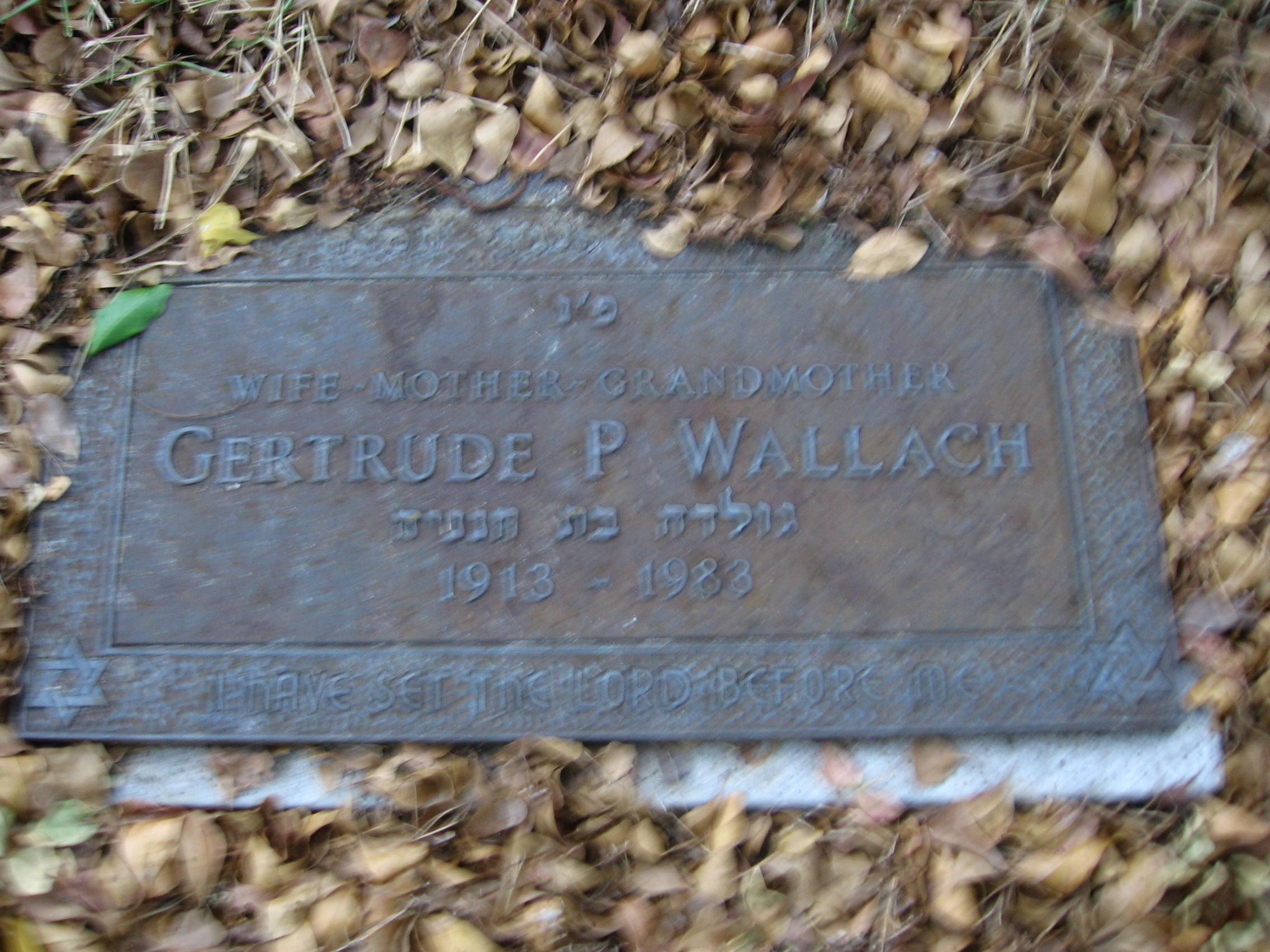 Gertrude P Wallach