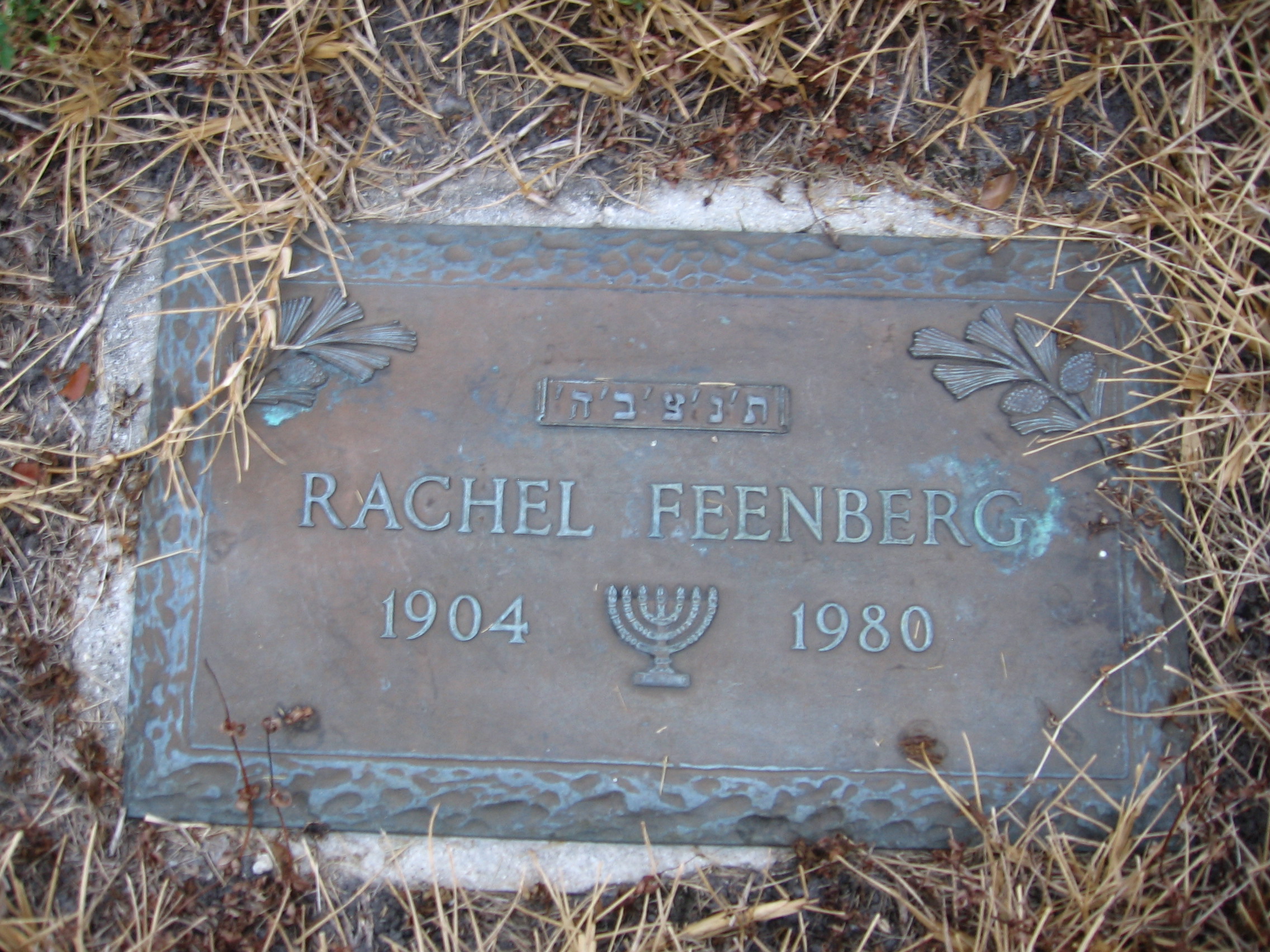Rachel Feenberg