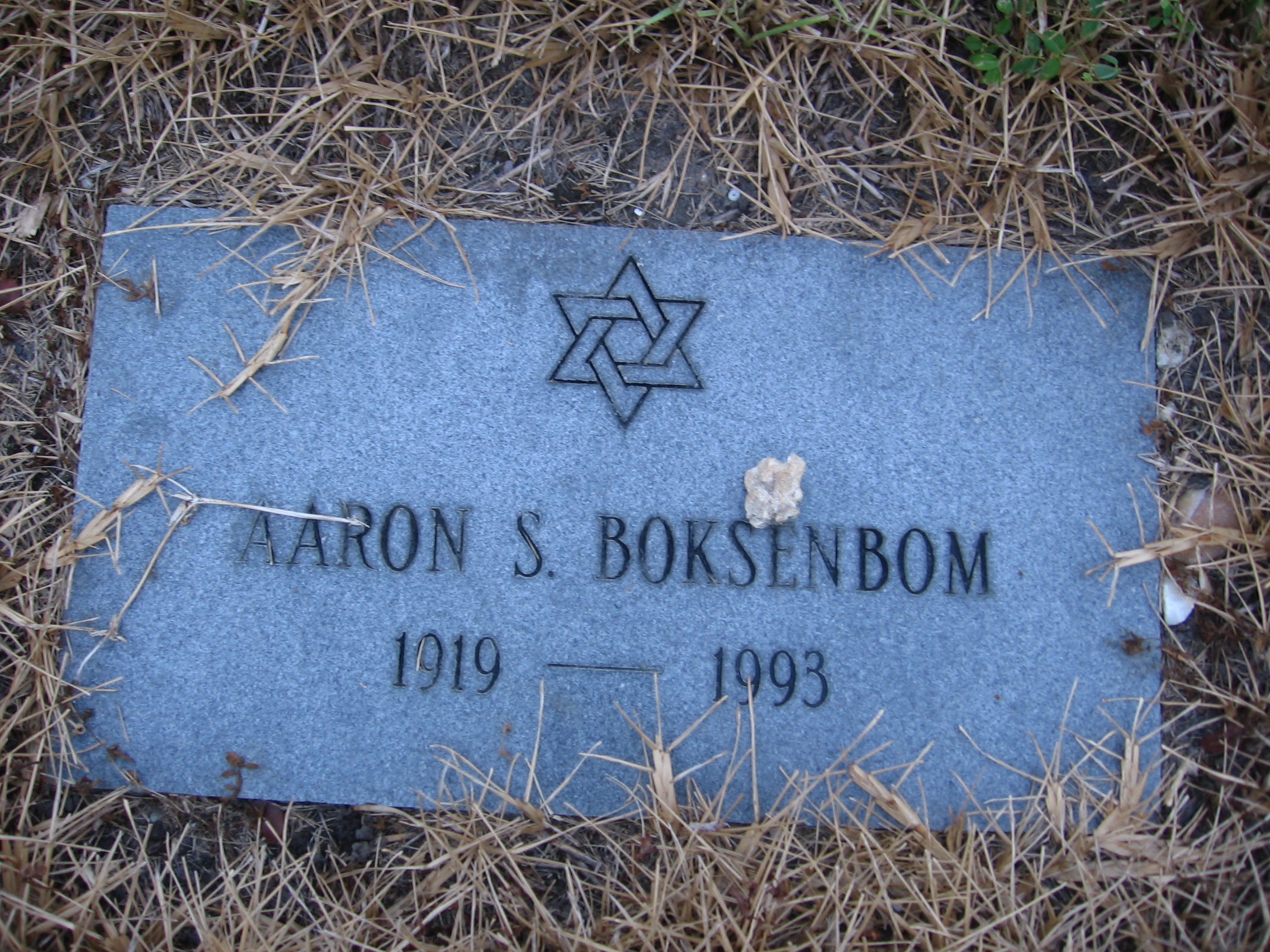 Aaron S Boksenbom