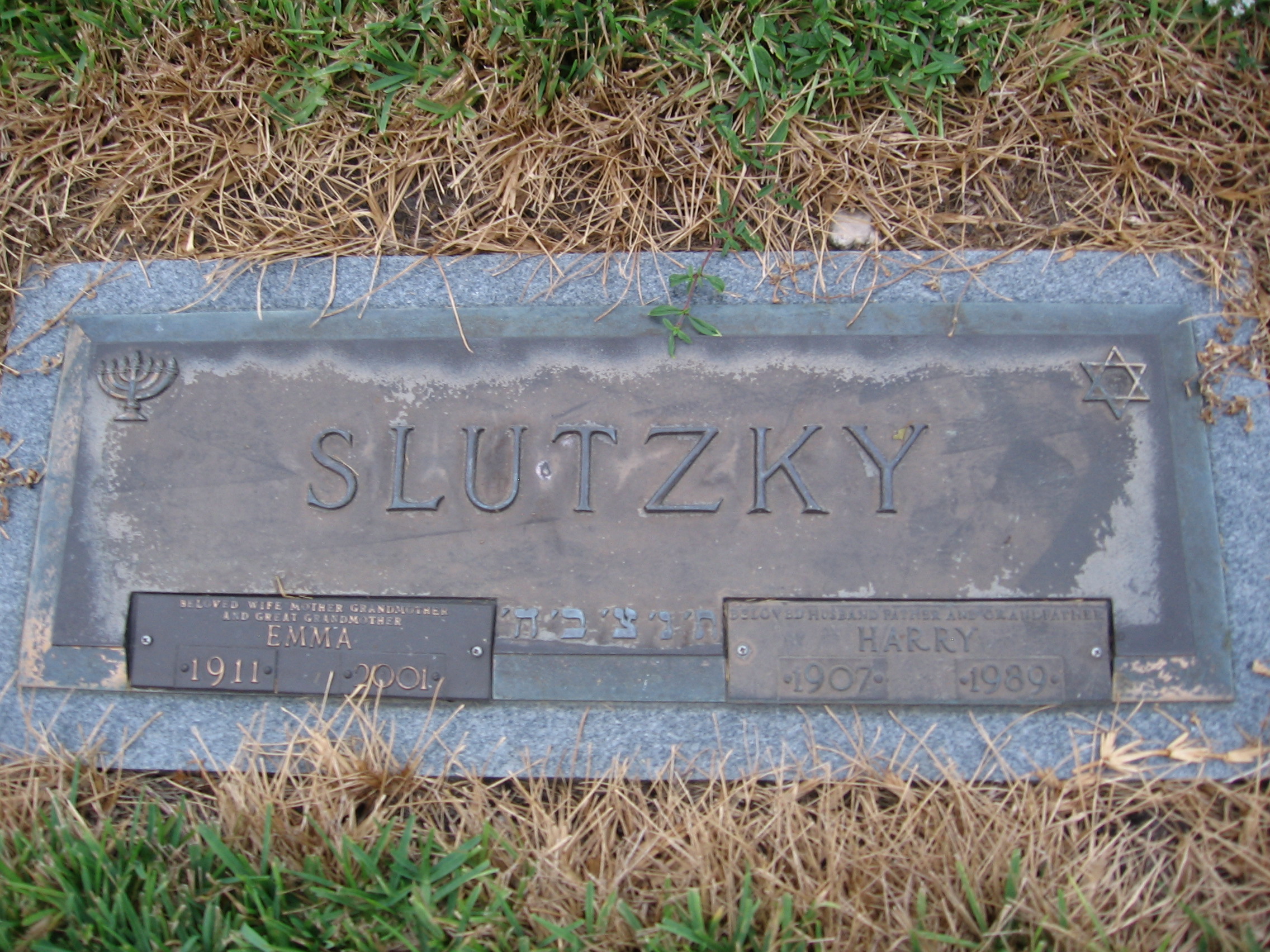 Harry Slutzky