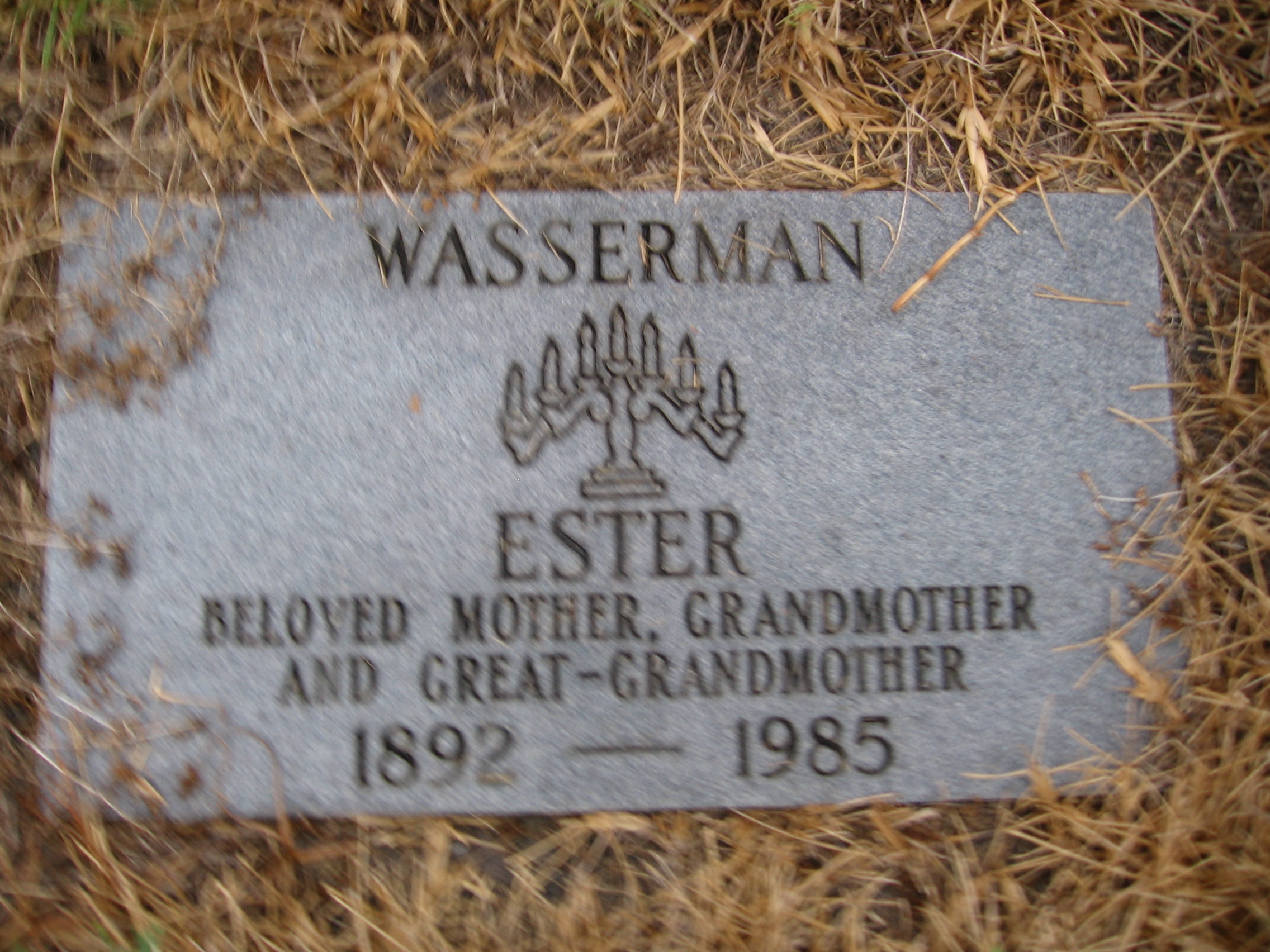Ester Wasserman