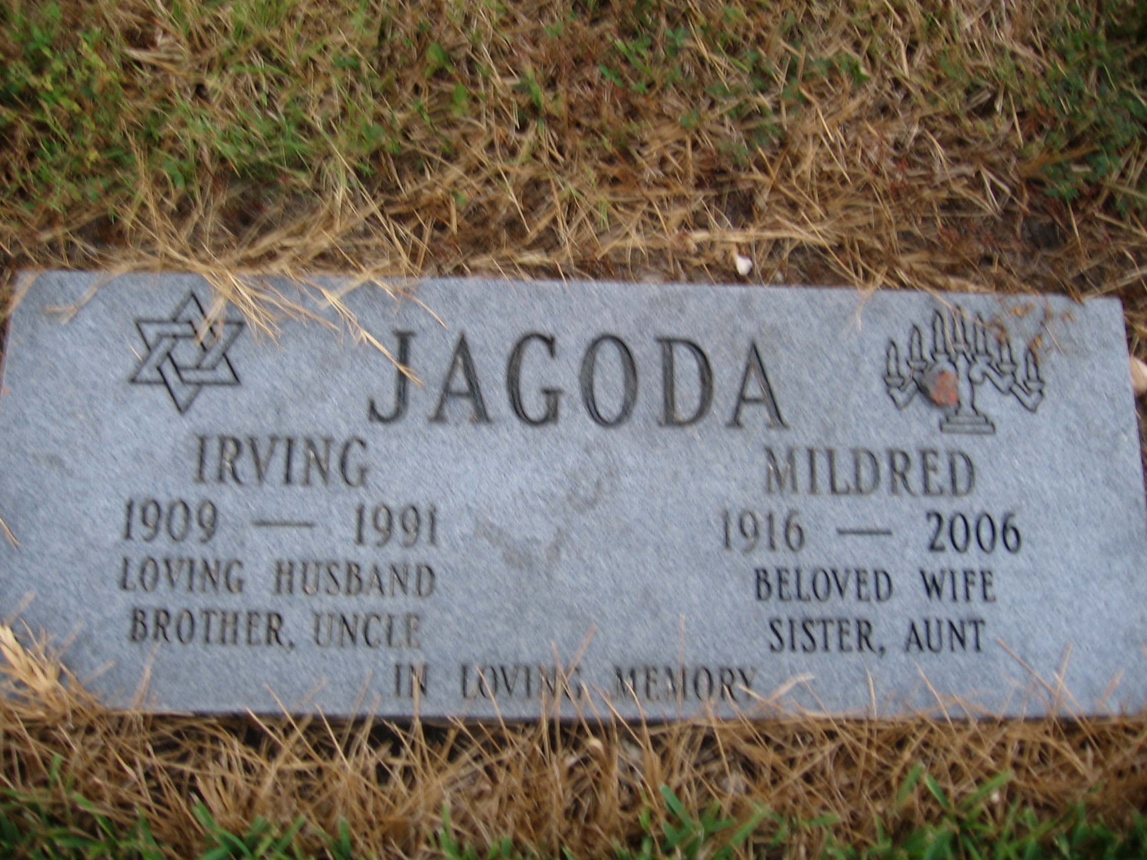Irving Jagoda