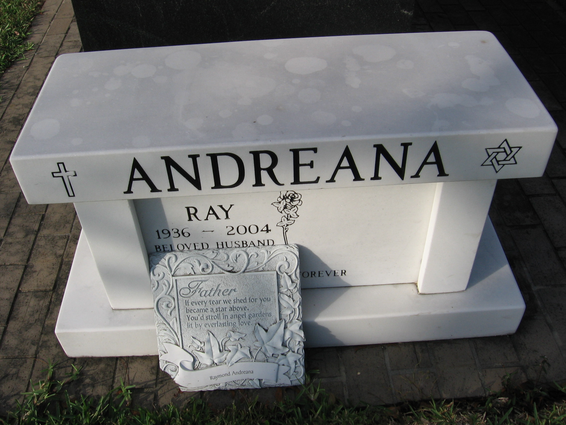 Ray Andreana