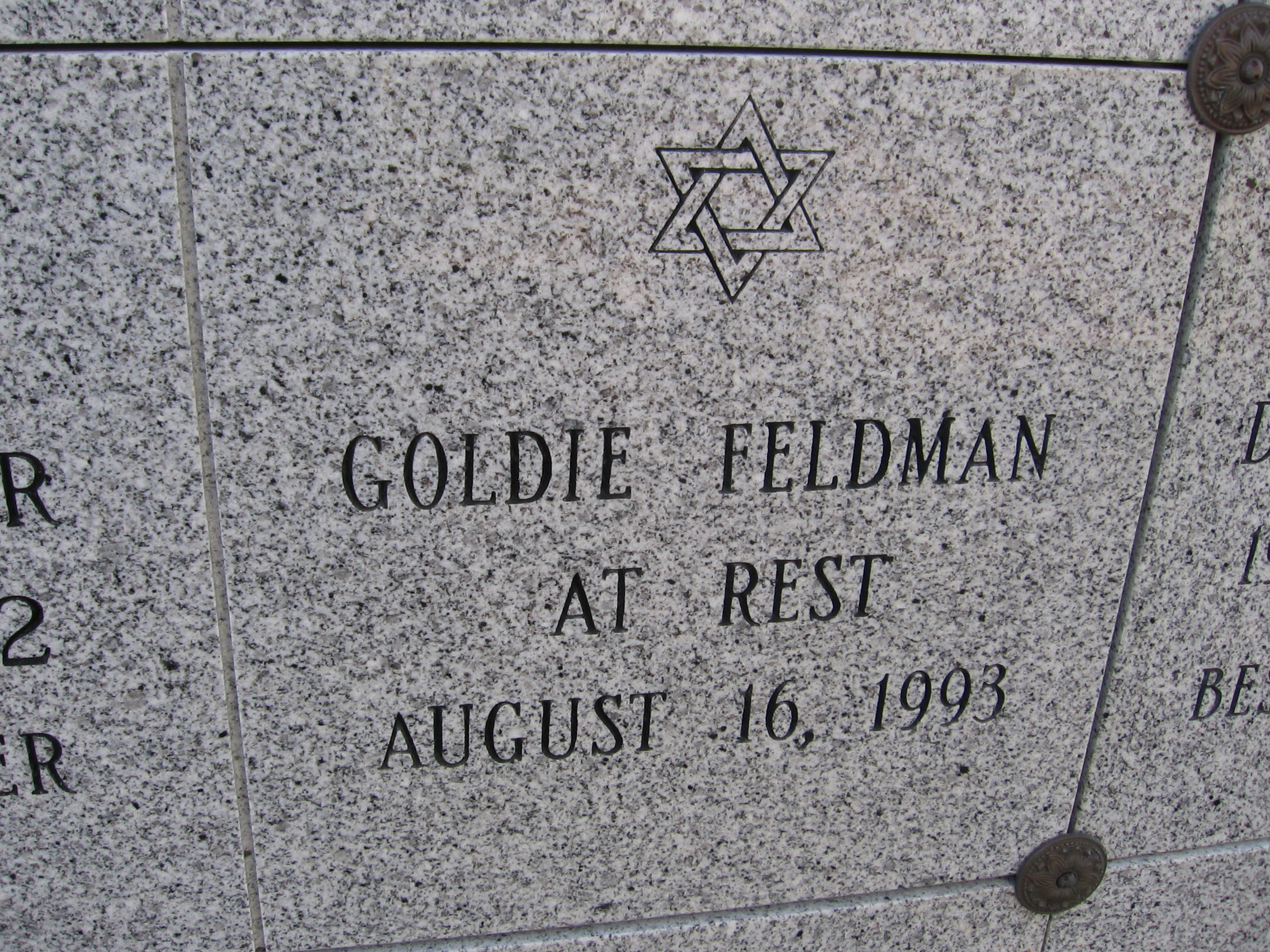 Goldie Feldman