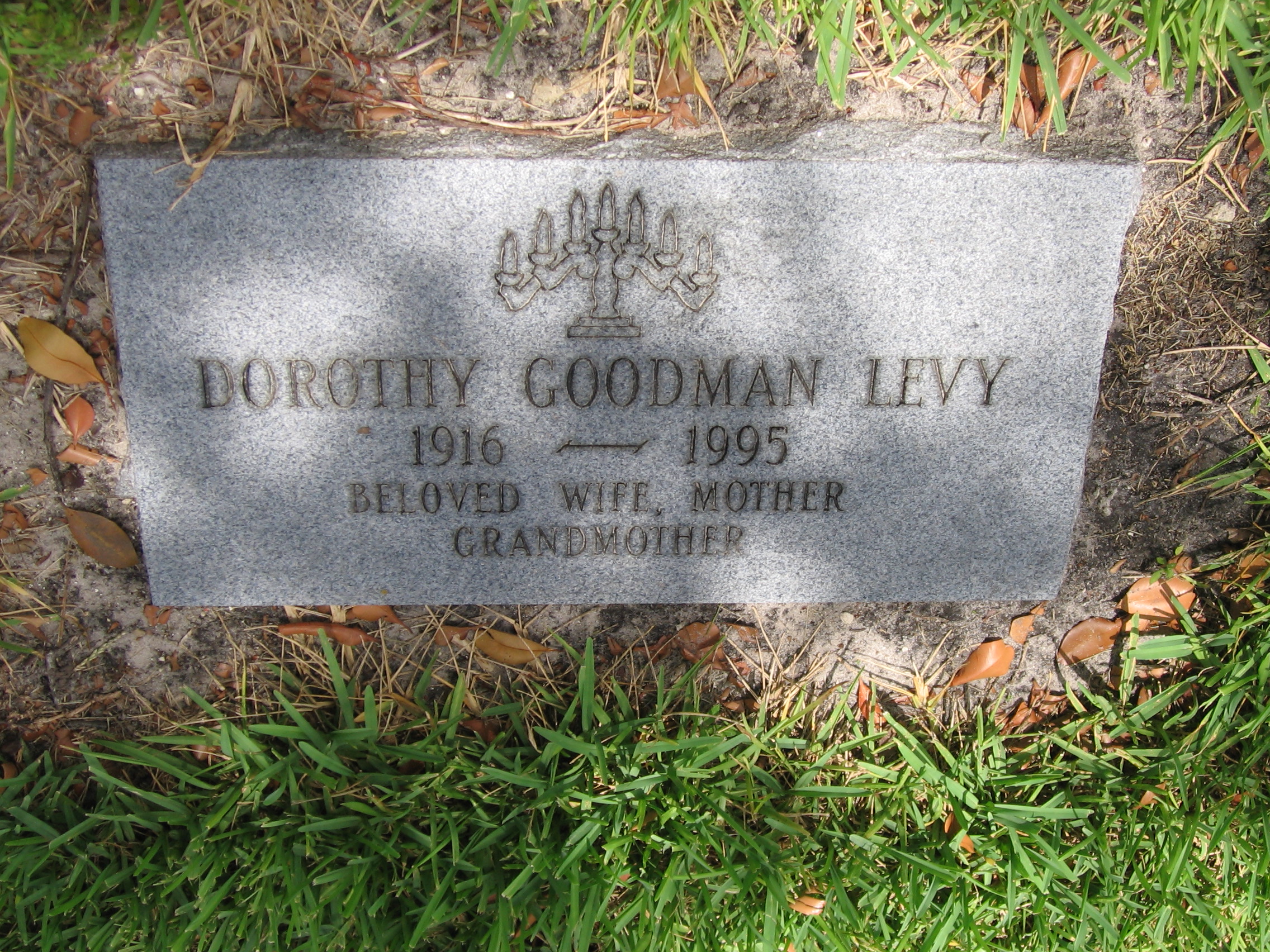 Dorothy Goodman Levy