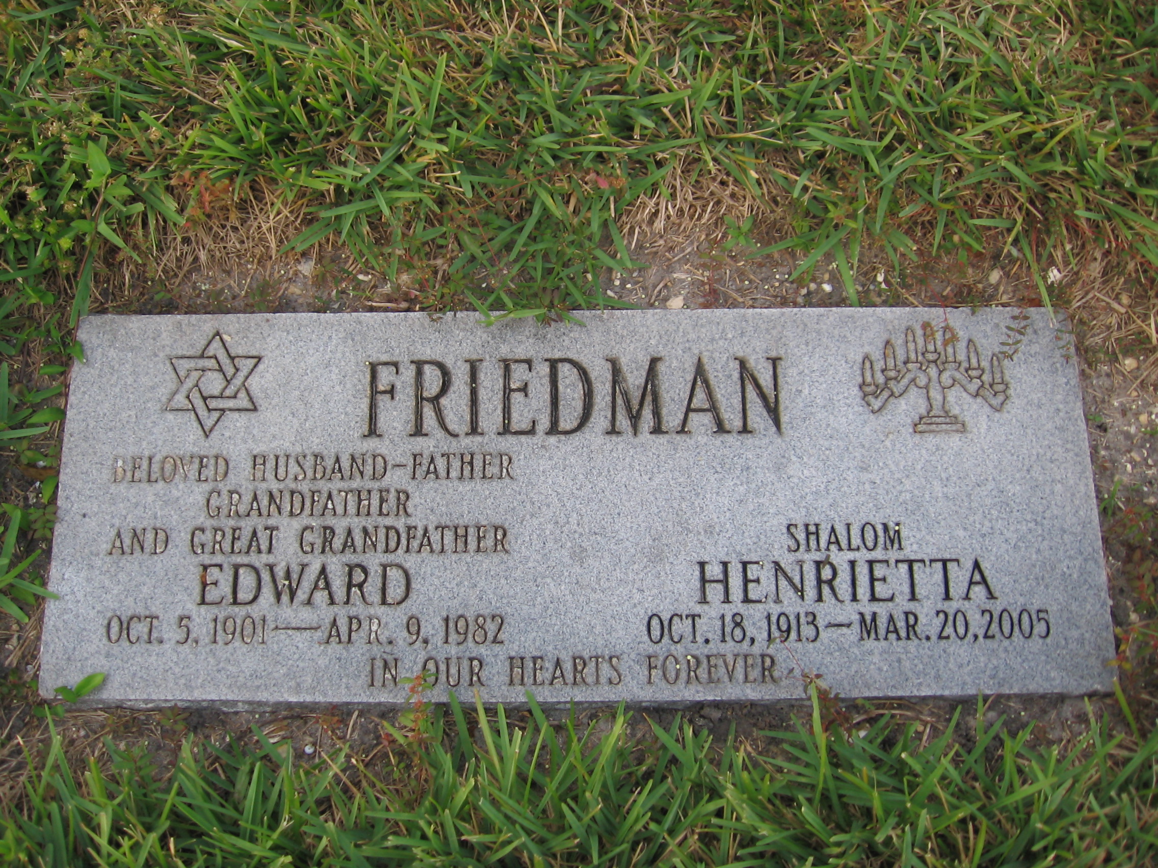 Henrietta Friedman