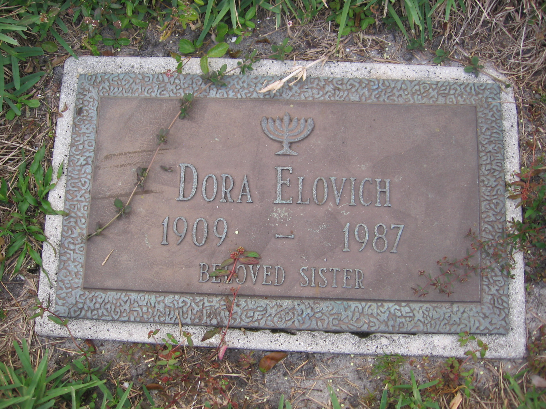 Dora Elovich