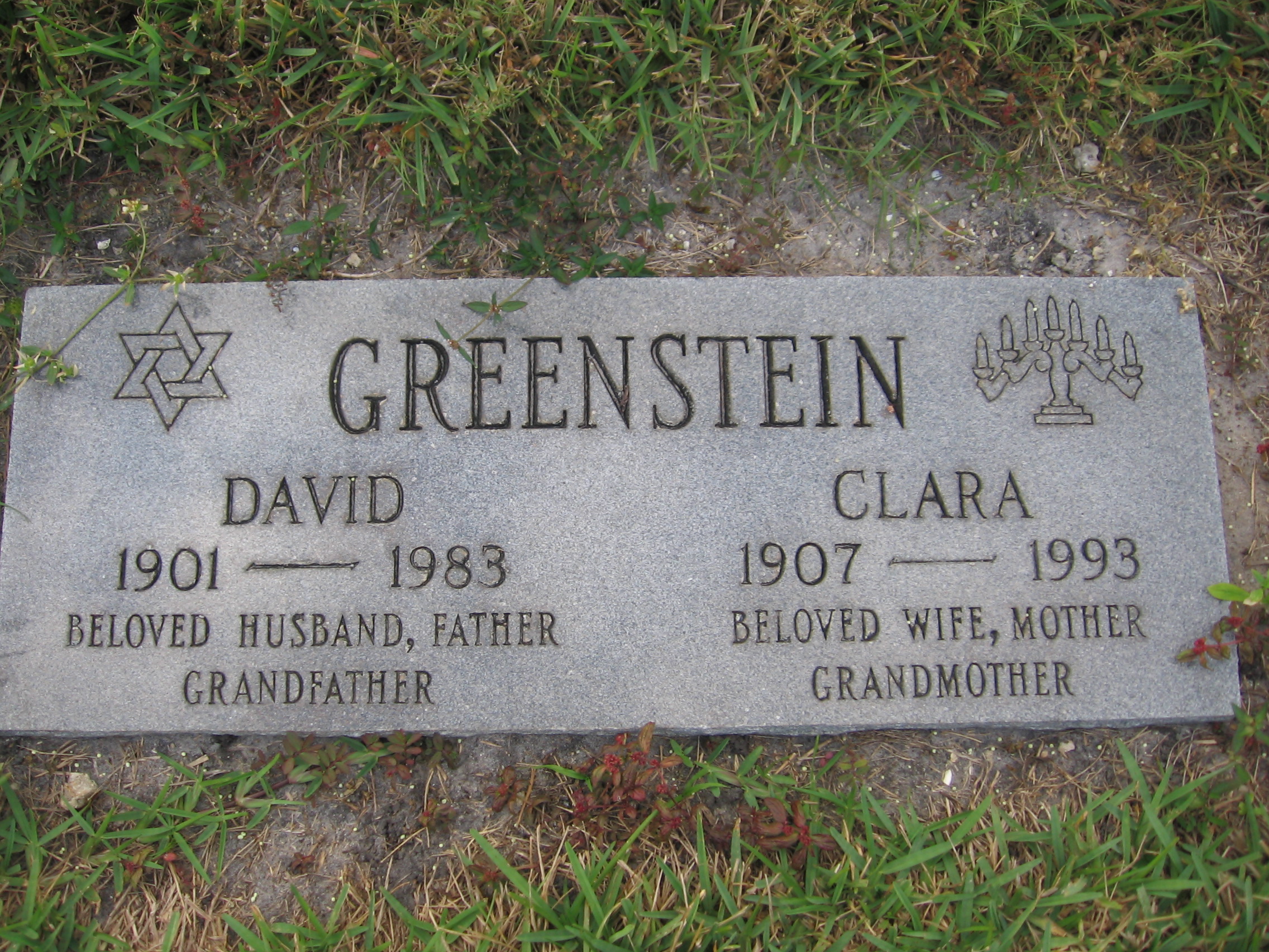 Clara Greenstein