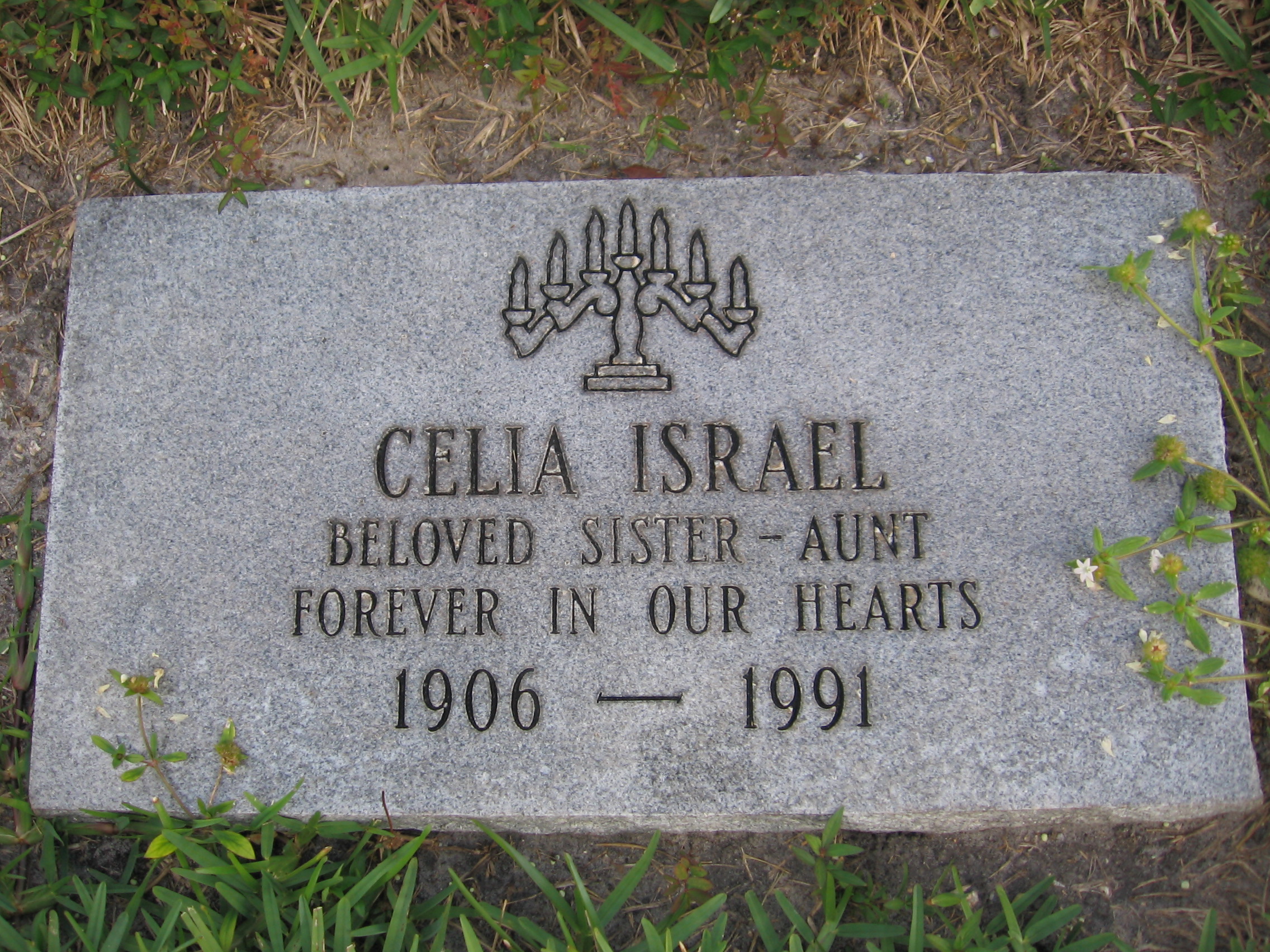 Celia Israel