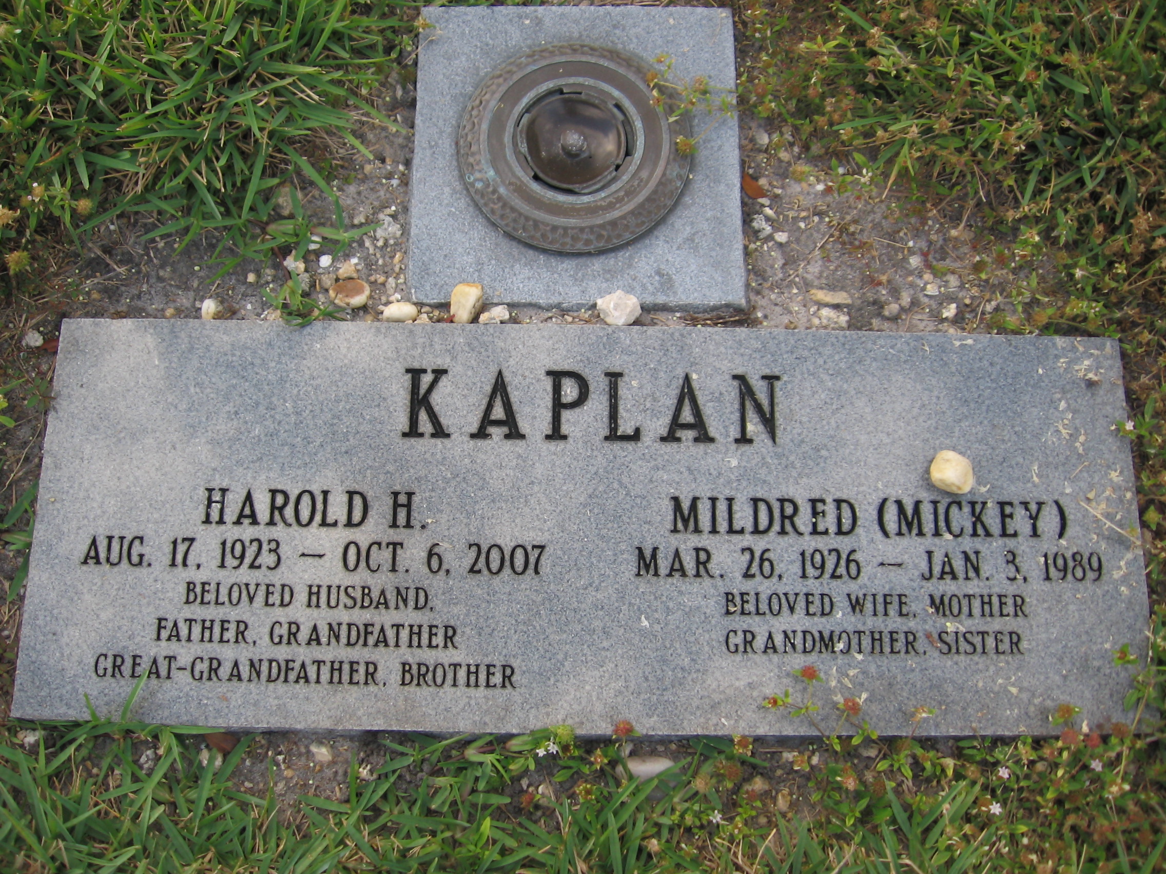 Harold H Kaplan