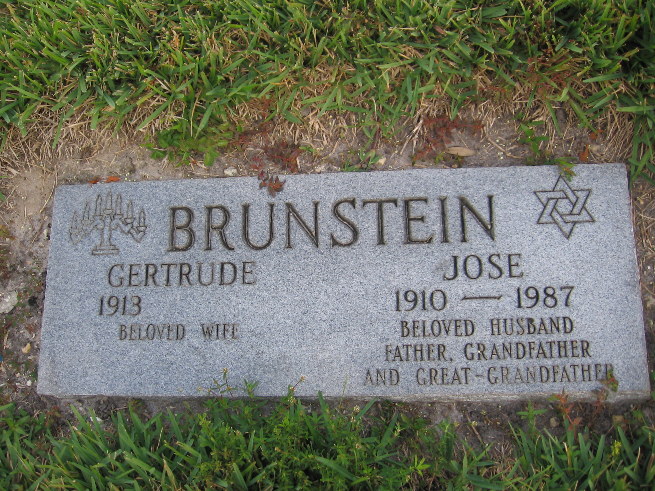 Jose Brunstein