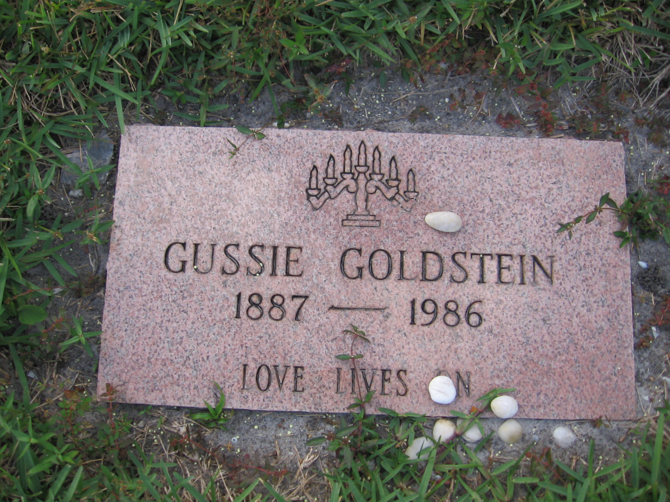 Gussie Goldstein